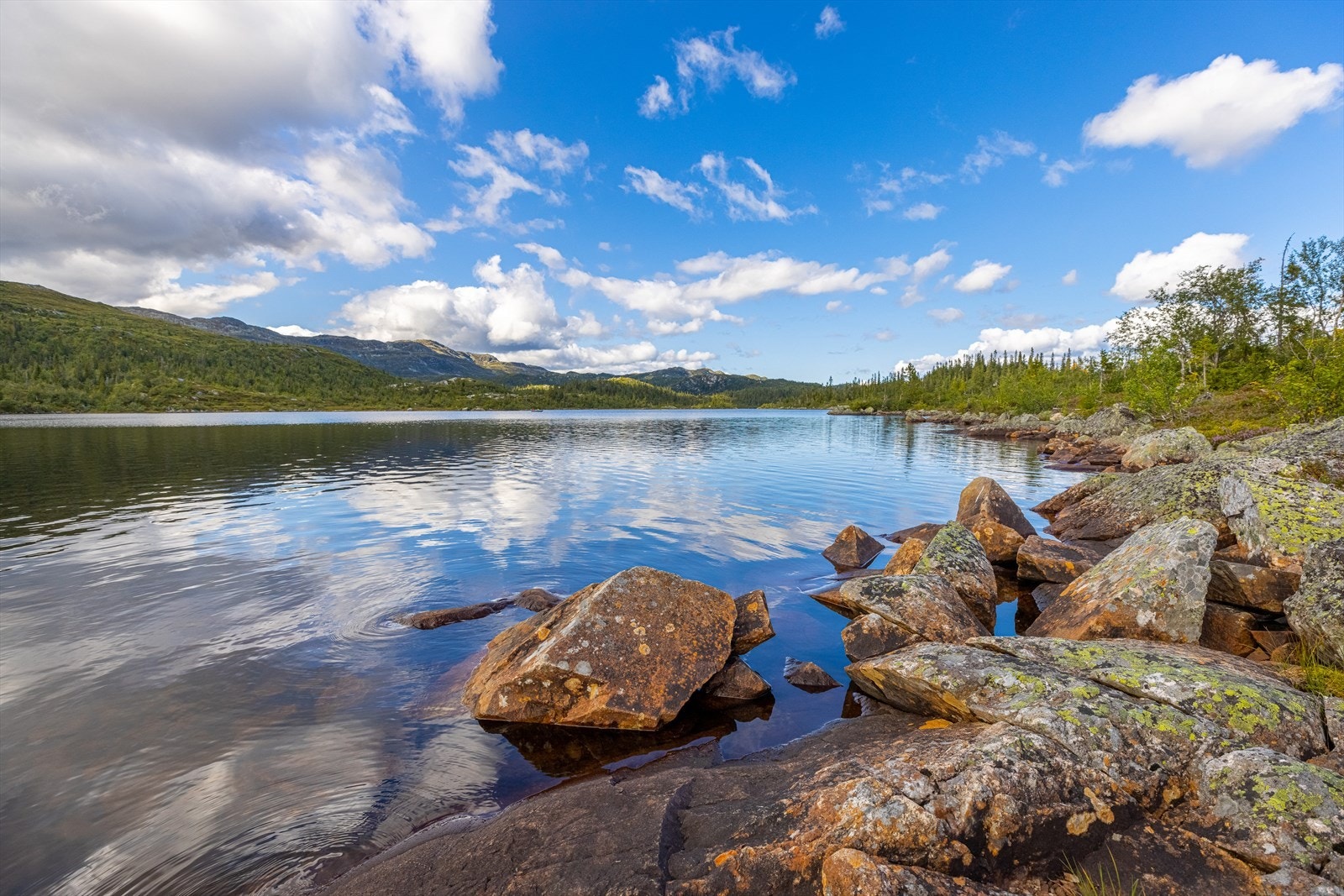 Det største vannet Fyrisjø - En populære tur for barnefamilier som ikke ønsker de lengste turene, men heller vil kose seg med grilling, aking, bading og sosialt samvær i spennende småskog. Galleribilde
