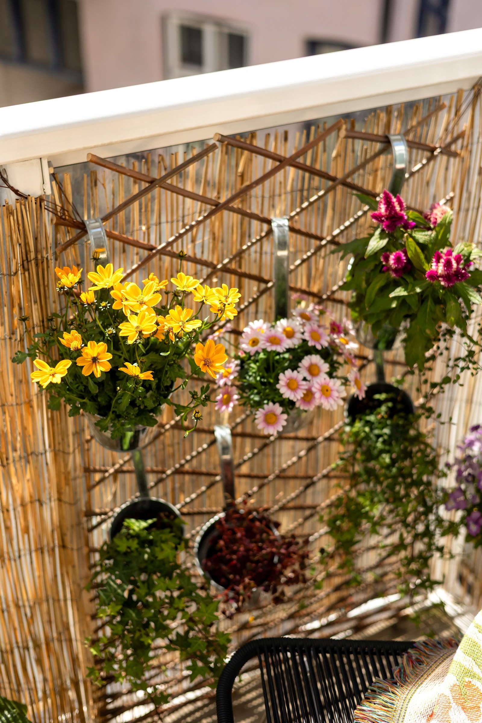 Her kan varme sommerdager nytes til det fulle Galleribilde