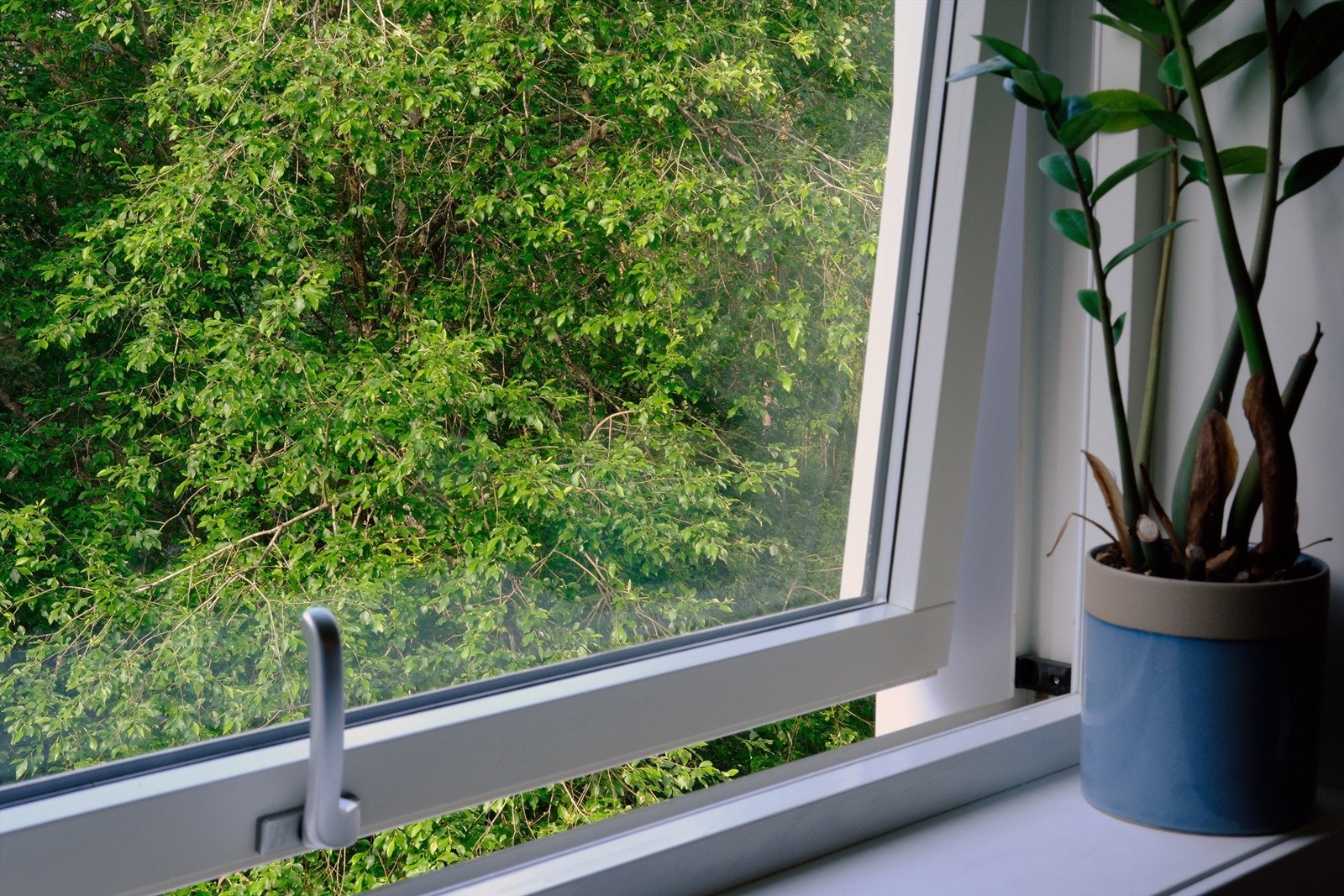 Hyggelig og grønt utsyn fra kjøkkenet Galleribilde