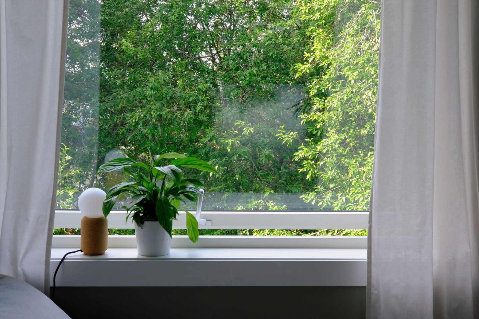 Mellom lesing av bok, ta deg tid til å drømme litt ved å ta en titt ut av vinduet! Galleribilde