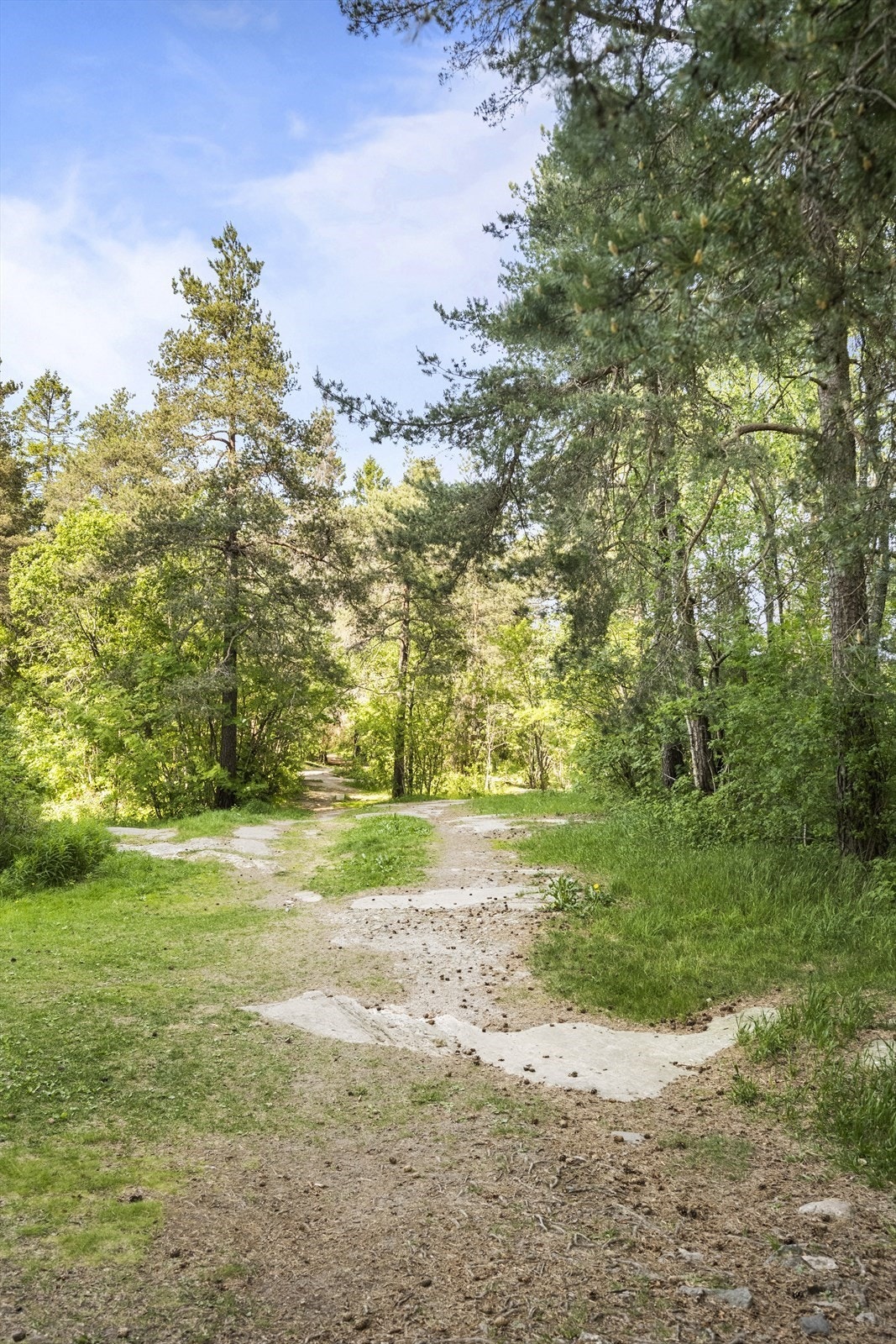 En liten tur med hunden i Godlia-skogen?
Eller en rask løpetur før poden skal legges? Galleribilde