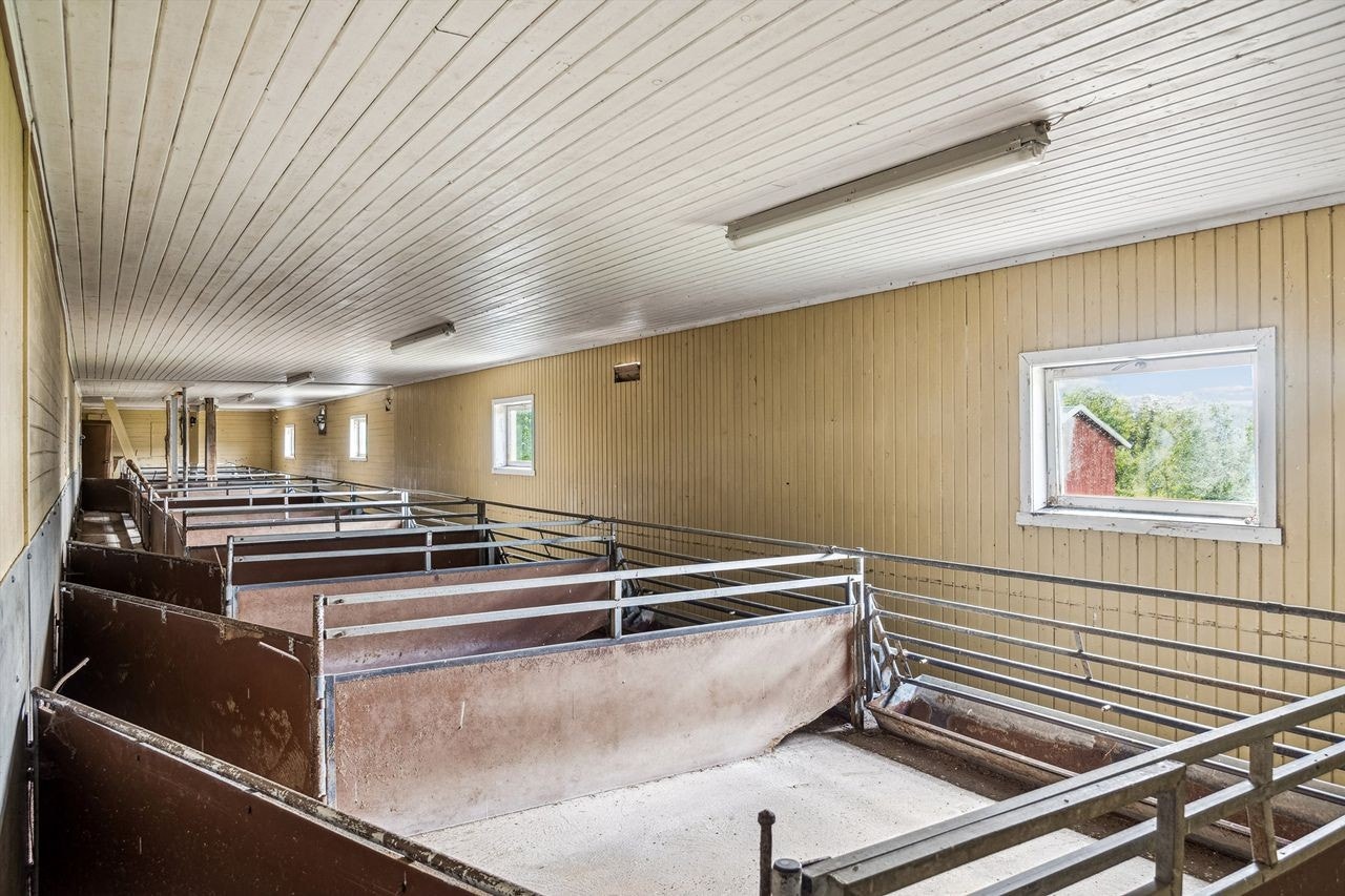 Husdyrrom/fjøs Galleribilde