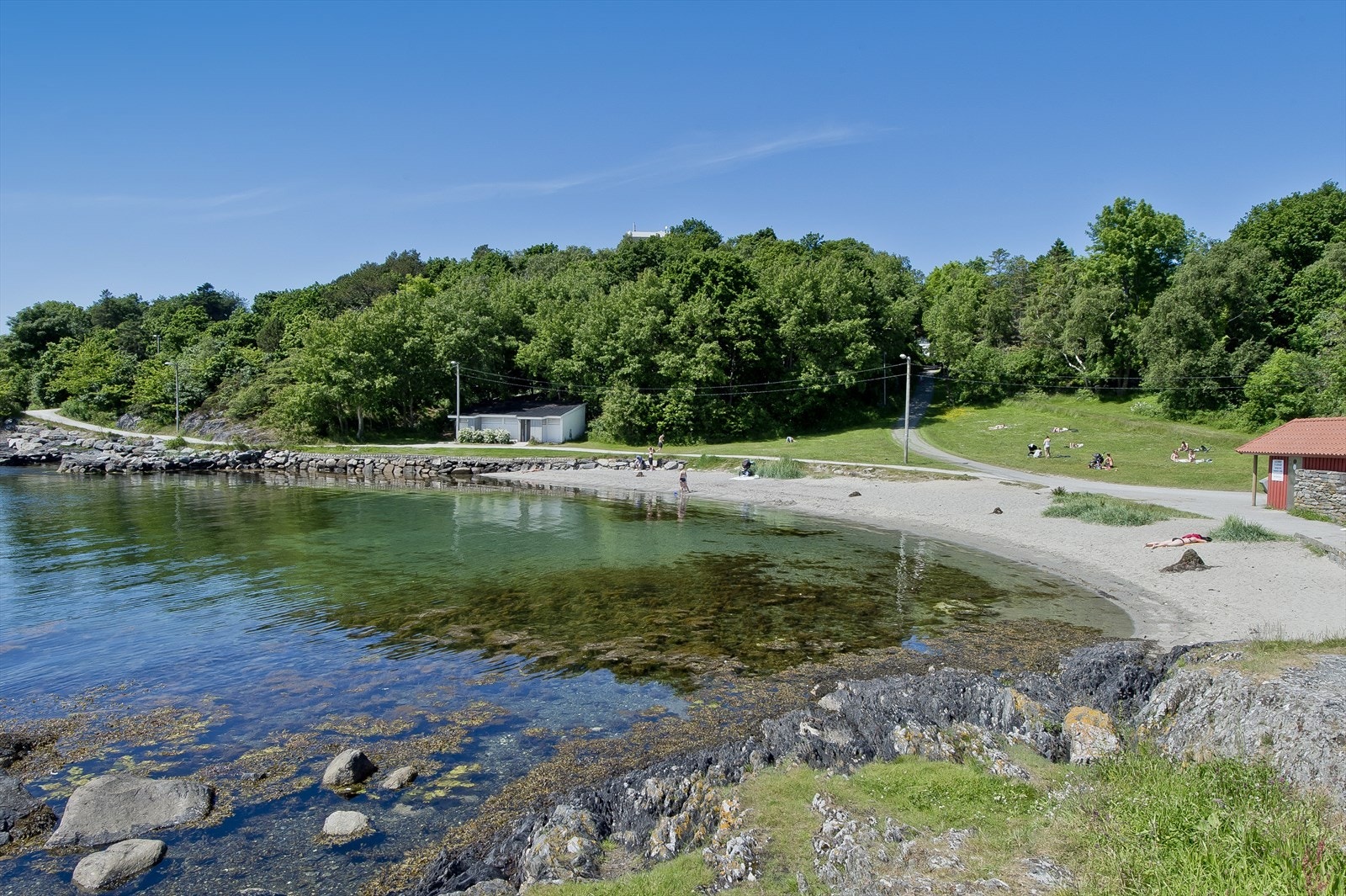 Nærområde Galleribilde