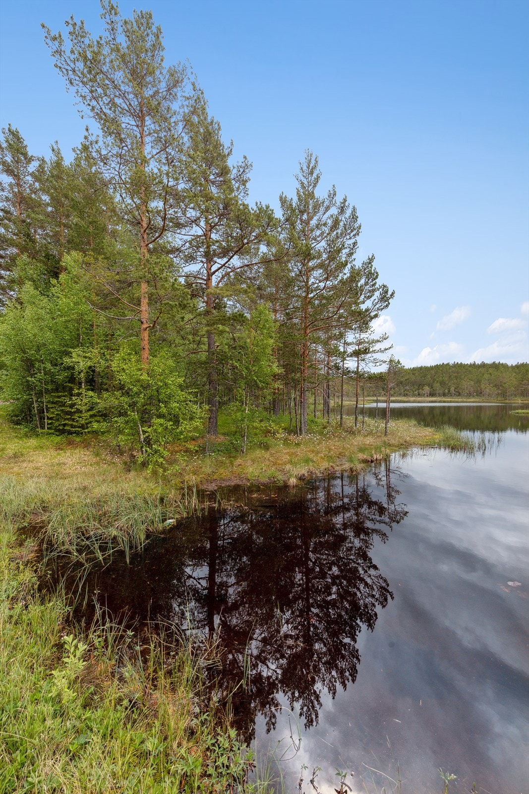Her er det muligheter for både bading og fiske. Galleribilde