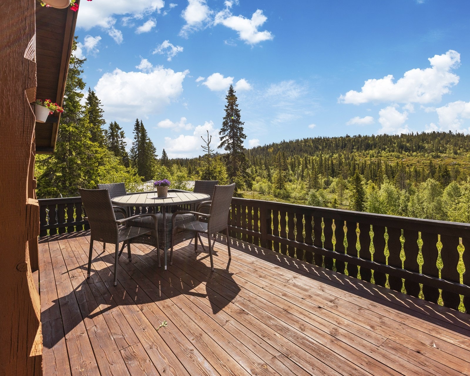 Flott beliggenhet omringet av natur Galleribilde