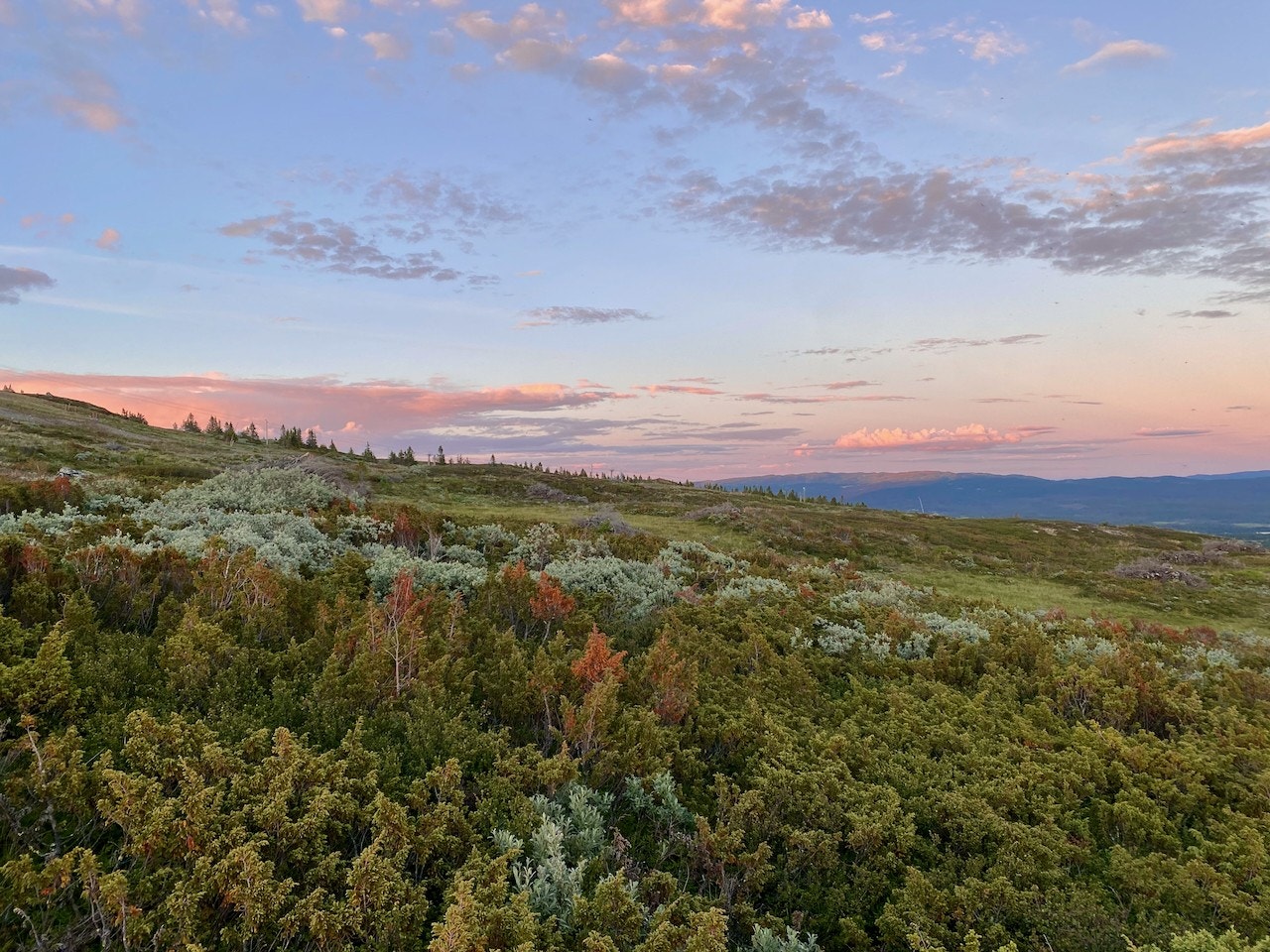 Nydelig natur i solnedgangen. Galleribilde