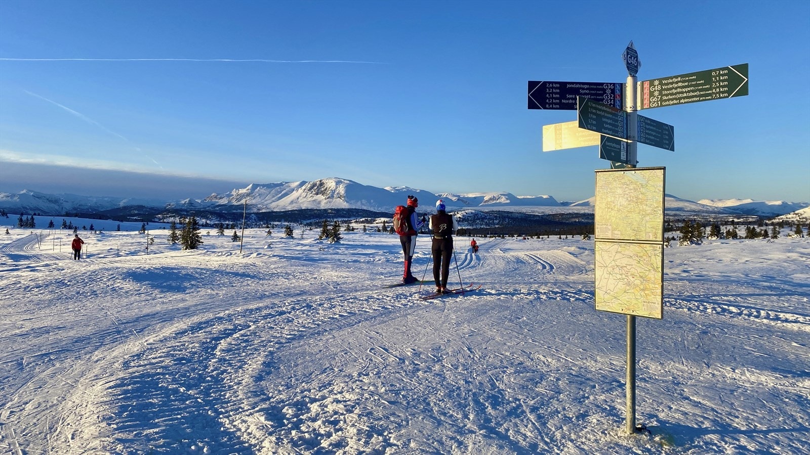 Godt merket. Galleribilde