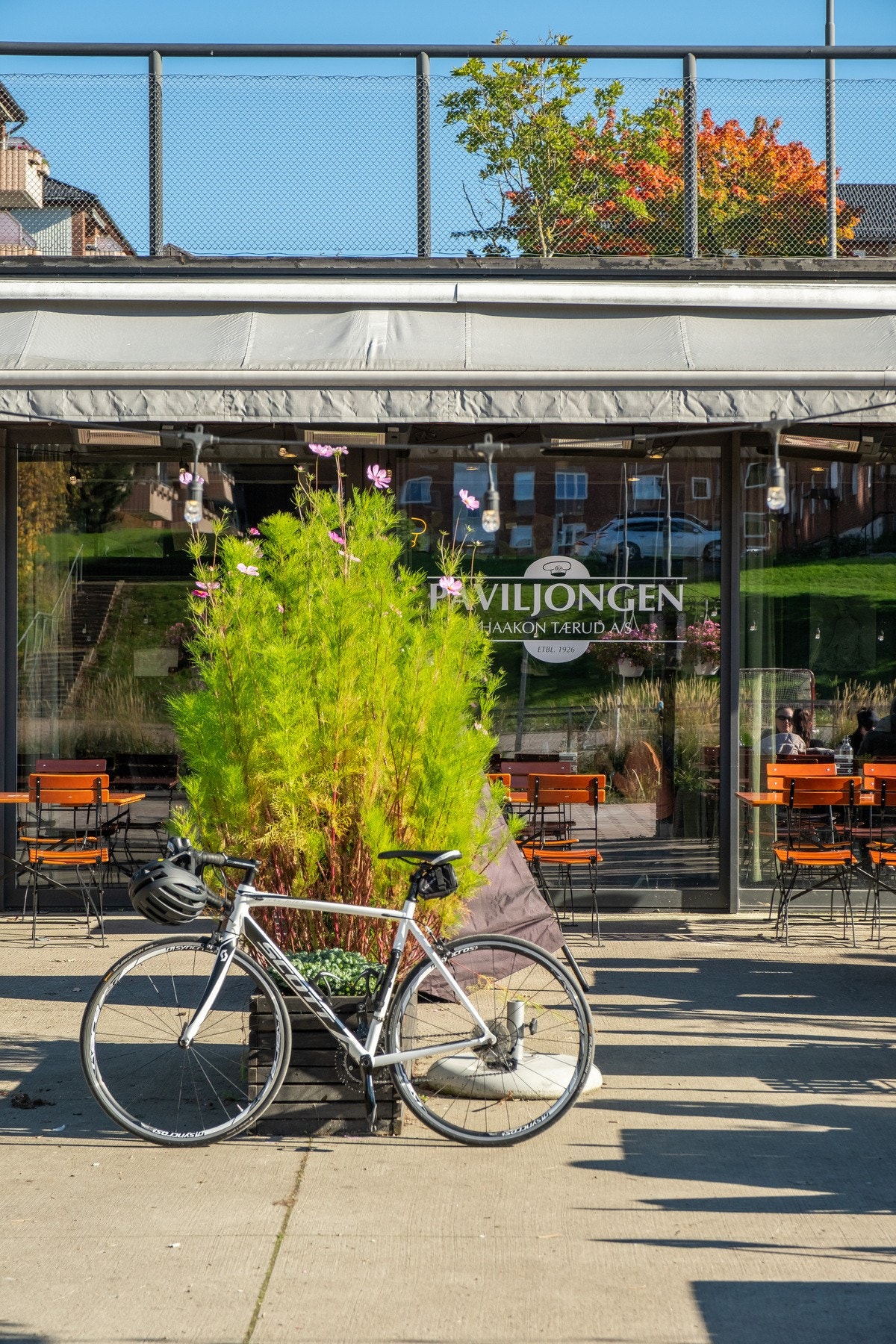 Paviljongen er en trivelig bistro med et godt utvalg av drikkevarer, kaffe og spennende lunsjretter. Galleribilde