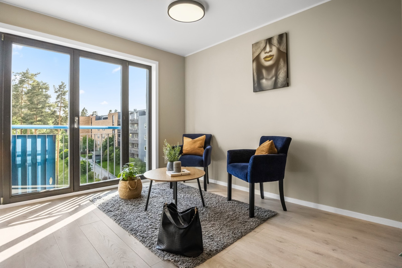 Det er plass til større sofagruppe som sjeseslong eller 2/3 seter. Galleribilde