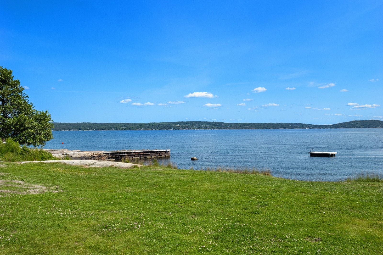 Nærområdet. Galleribilde