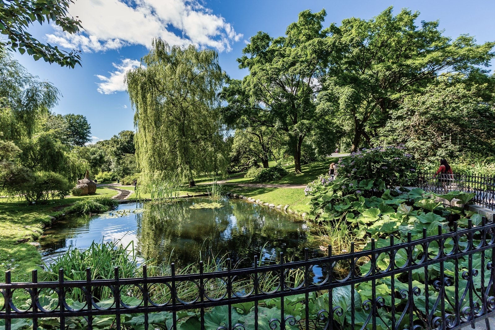 Botanisk hage ligger få skritt fra leiligheten. Galleribilde