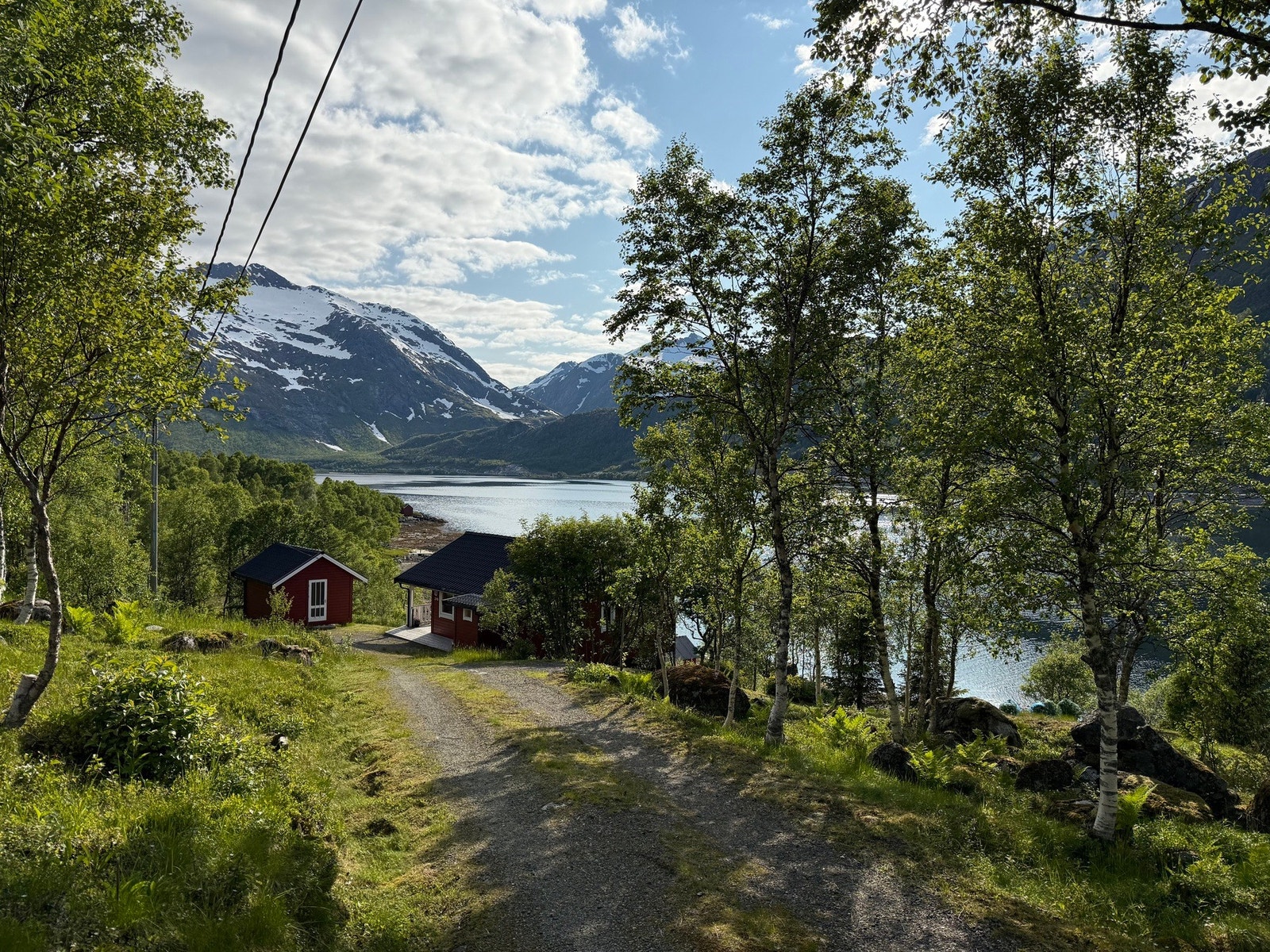 Sommervei helt ned til hytta Galleribilde