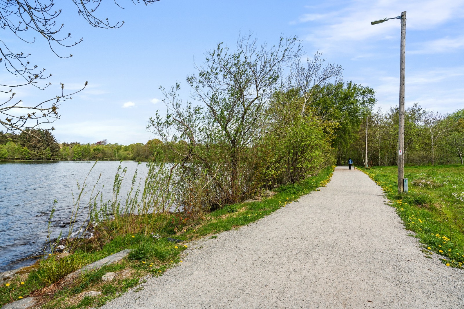 Nærområdet - Runden rundt vannet er ca. 8 km og passer ypperlig for både gå- og joggeturer. Galleribilde