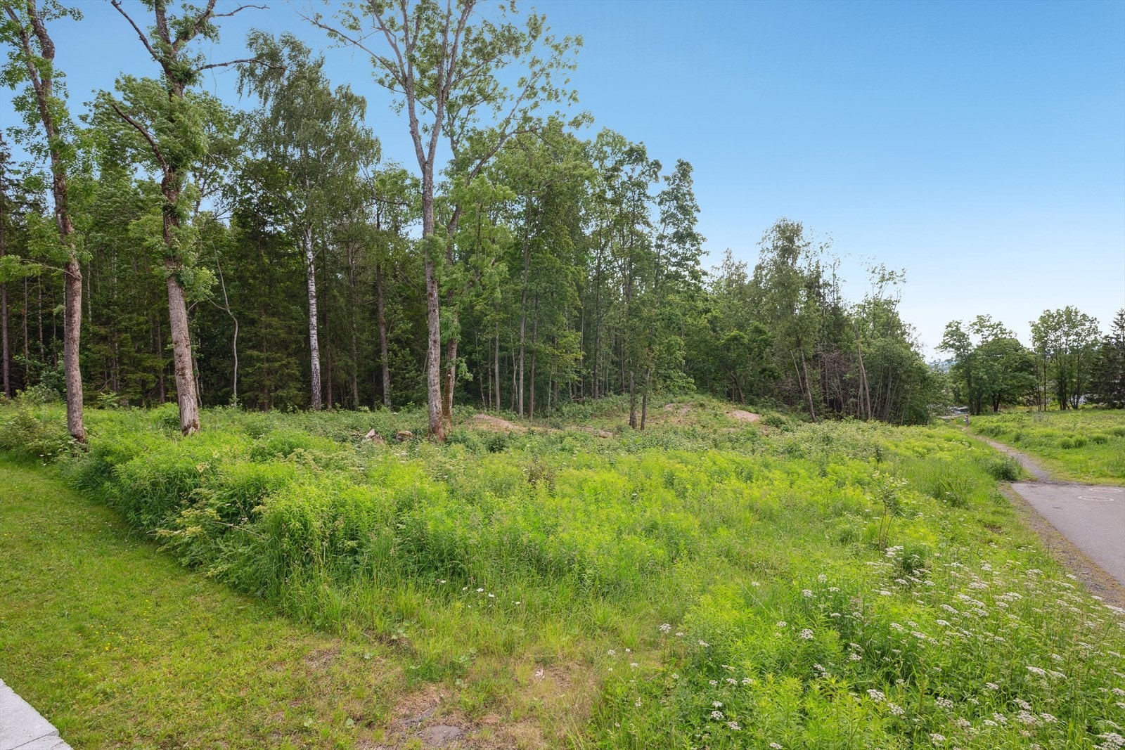 Meget barnevennlig og rolig boområde. Galleribilde