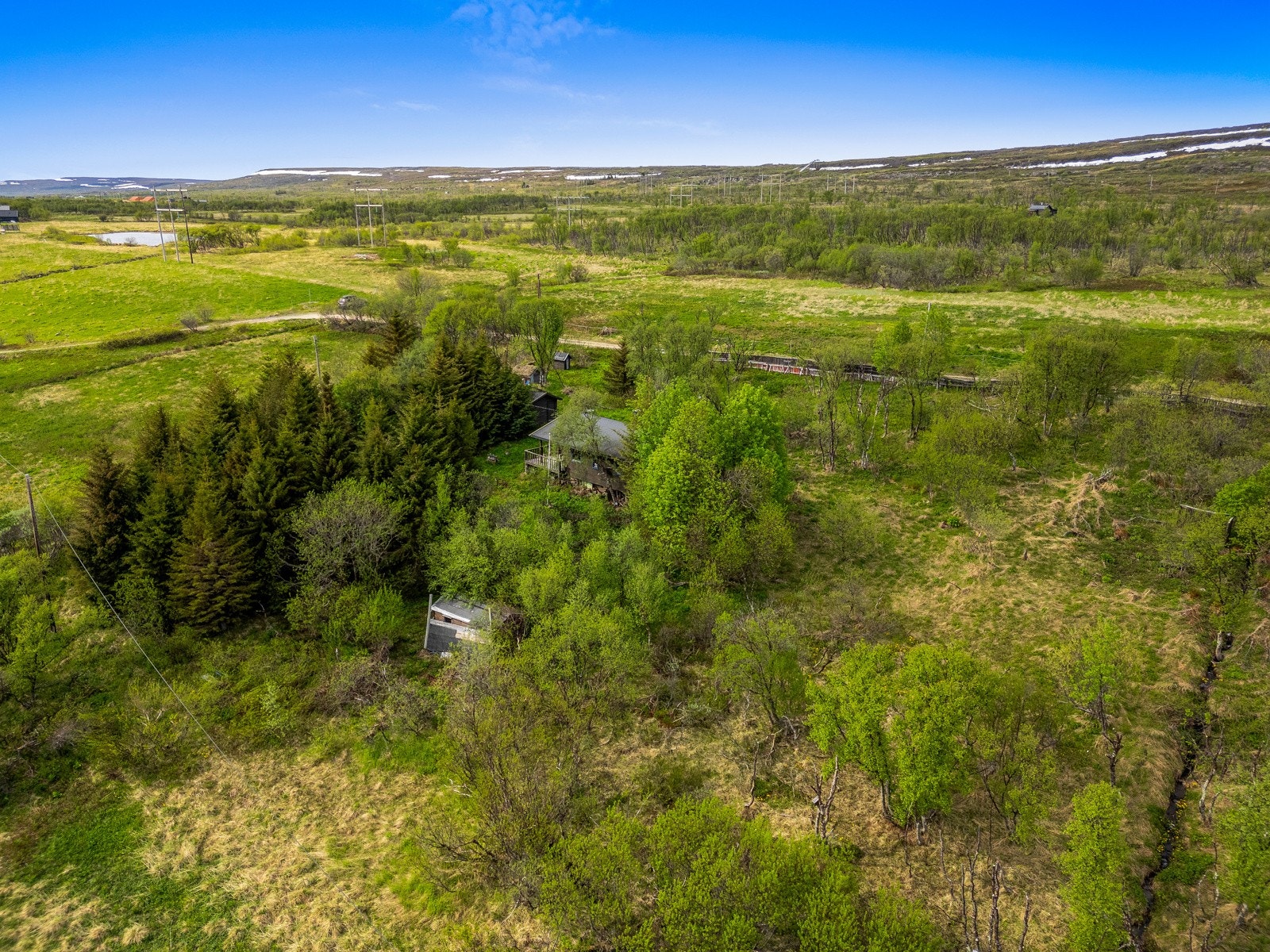 Velkommen til Russe Matti veien - presentert av Advokatfirmaet Herstad AS! Galleribilde