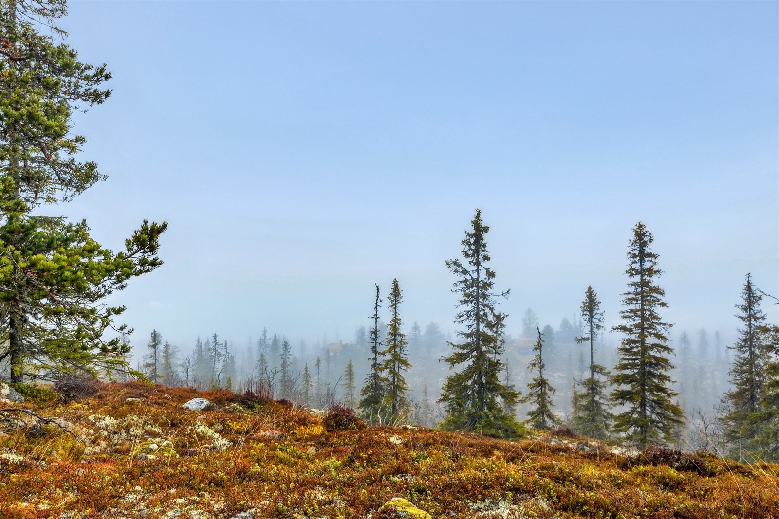 Området byr på fiskemuligheter (mot innløsning av fiskekort) i Svillen og Garin, bademuligheter er det også. Galleribilde