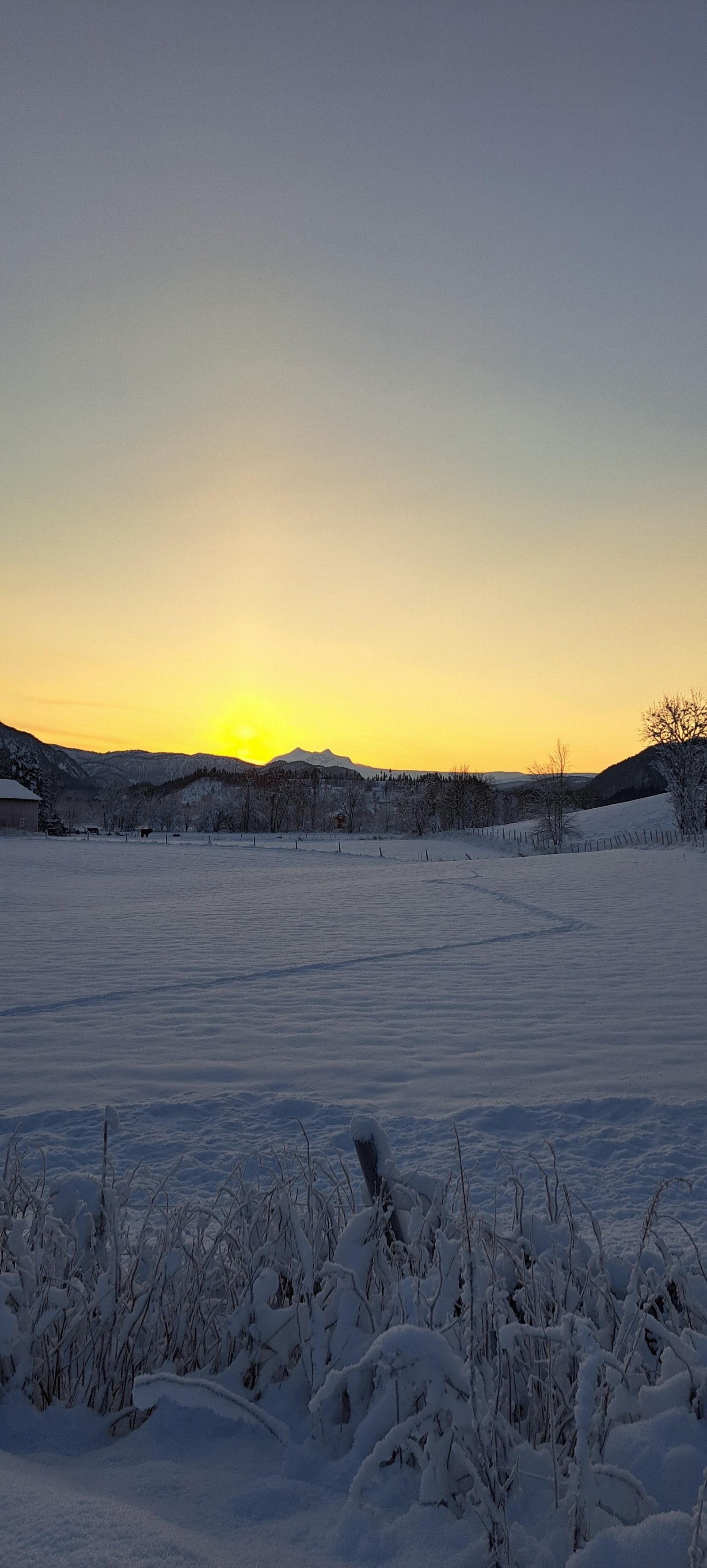 Vinterlys i sør Galleribilde
