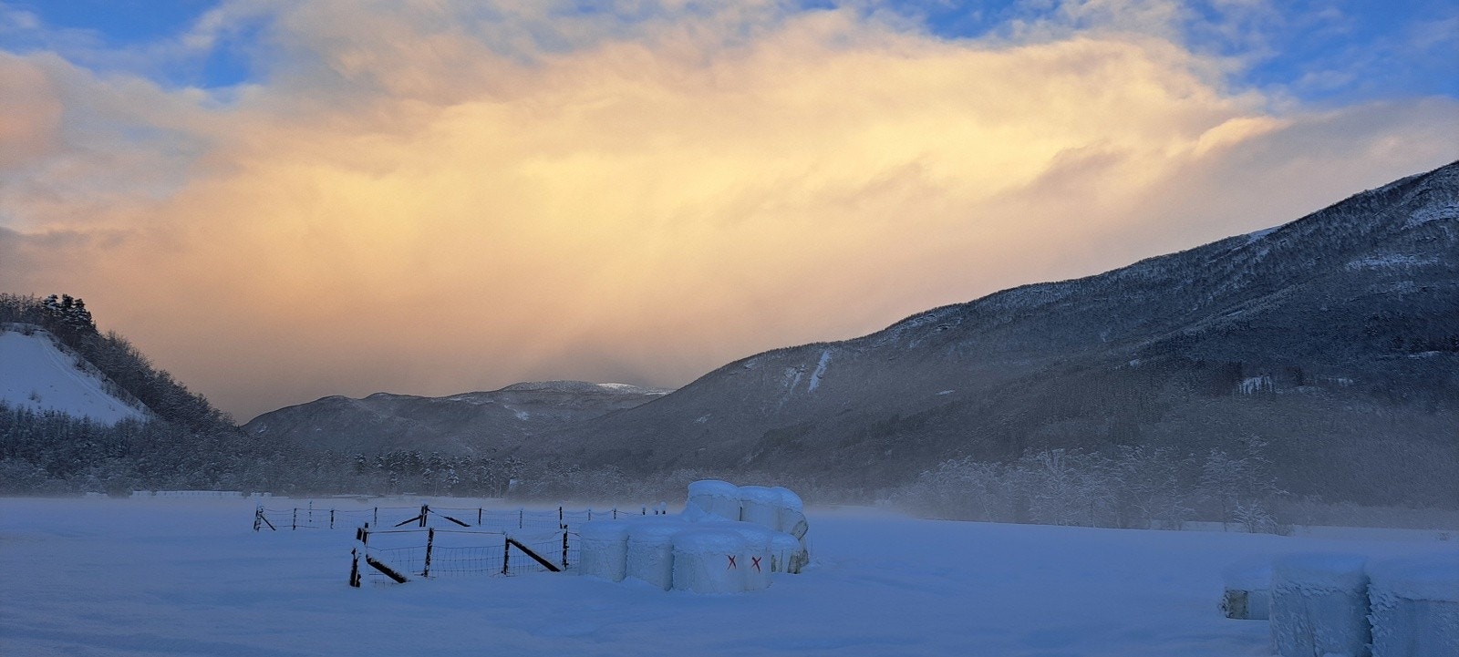 Vinterlys i nord Galleribilde