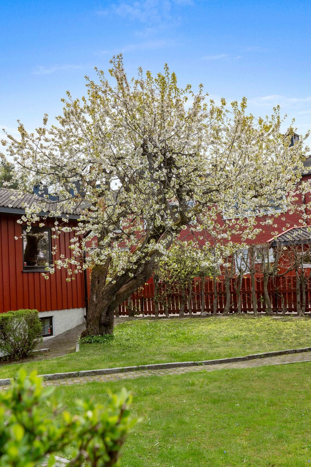 Nydelig opparbeidet tomt. Galleribilde