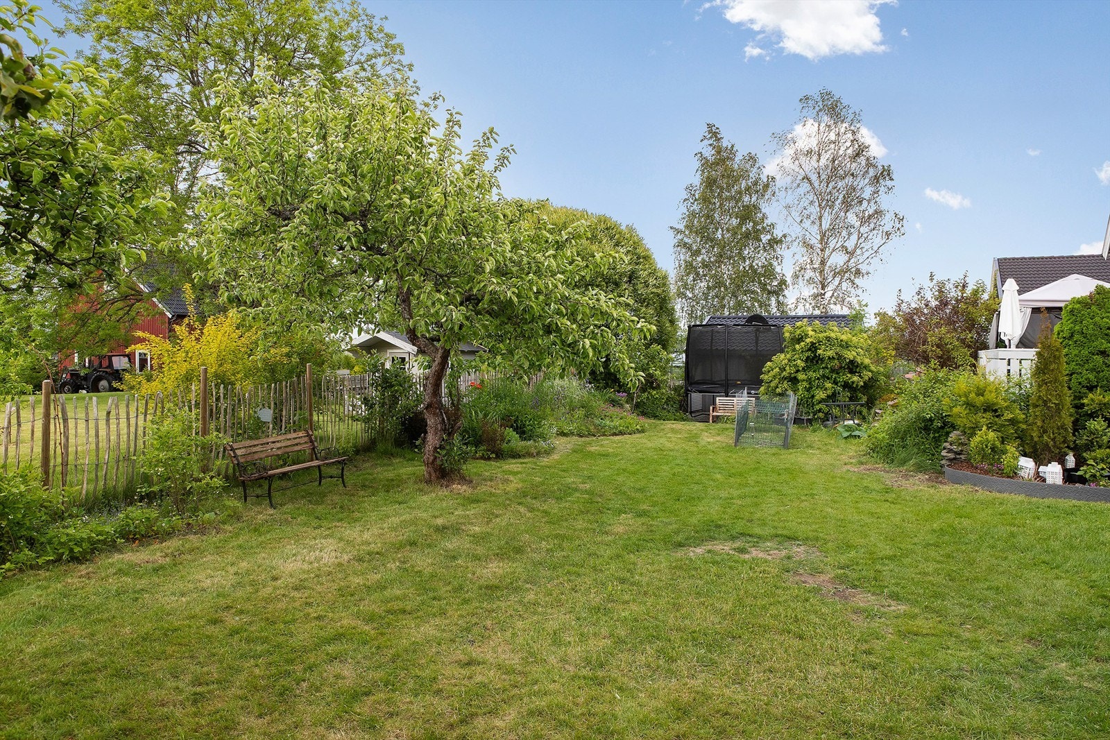 Stor gressplen med diverse beplantning Galleribilde