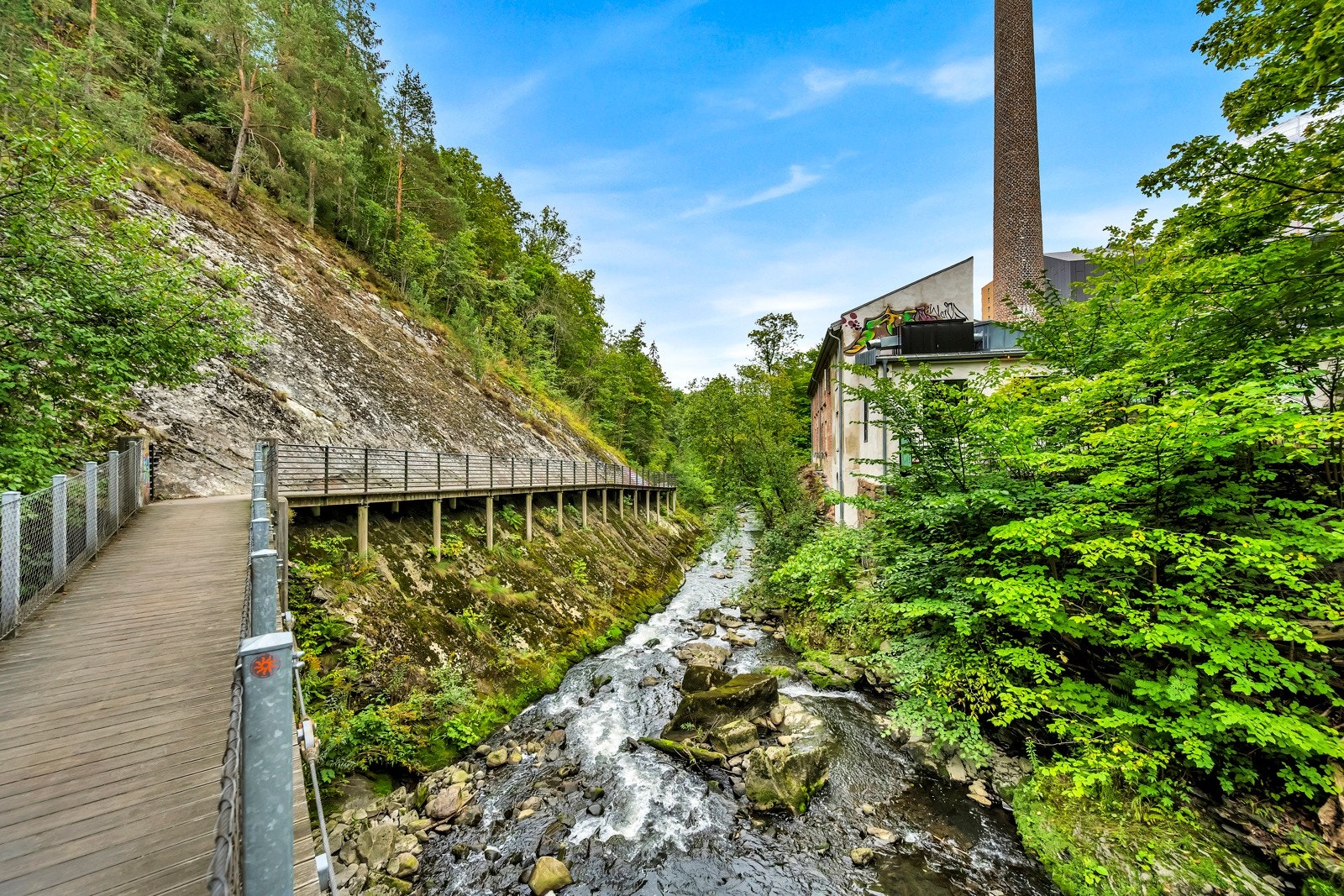 Turvei i Svartdalsparken. Galleribilde