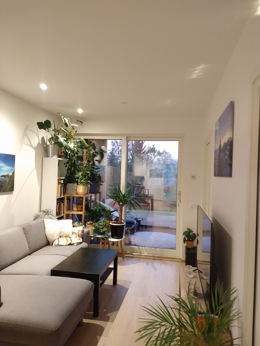 Stue Galleribilde