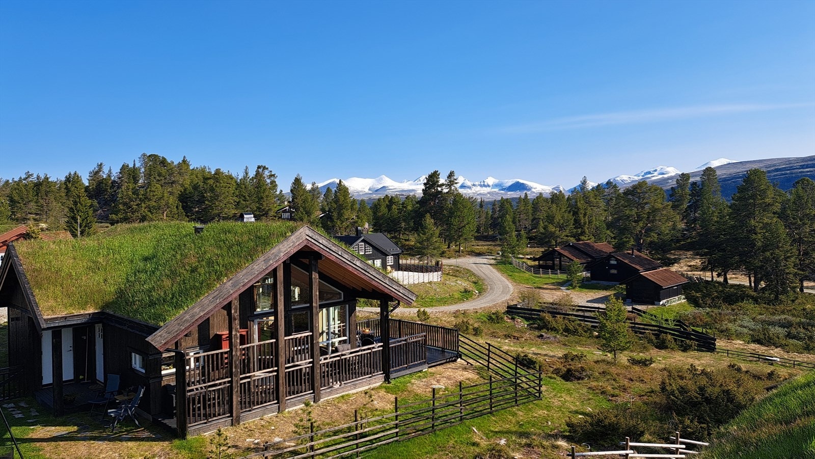 Velkommen til Tyttebærråket! Med snøkledde Rondane i bakgrunnen Galleribilde