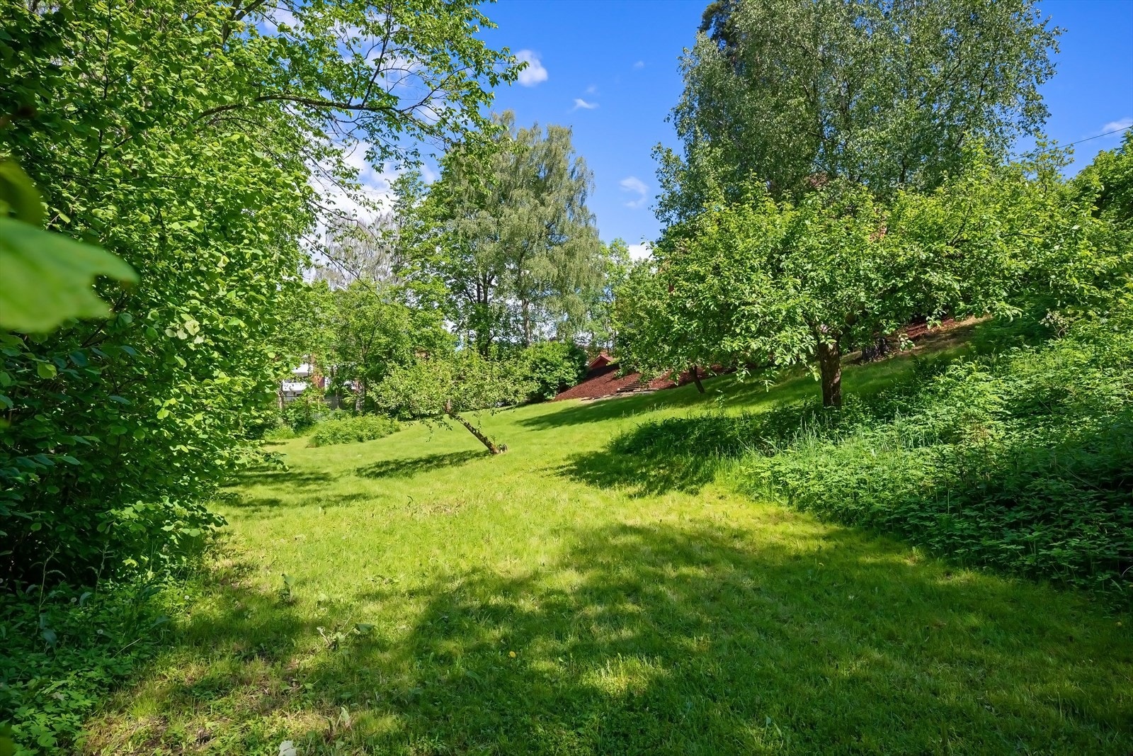 Sjelden idyll Galleribilde