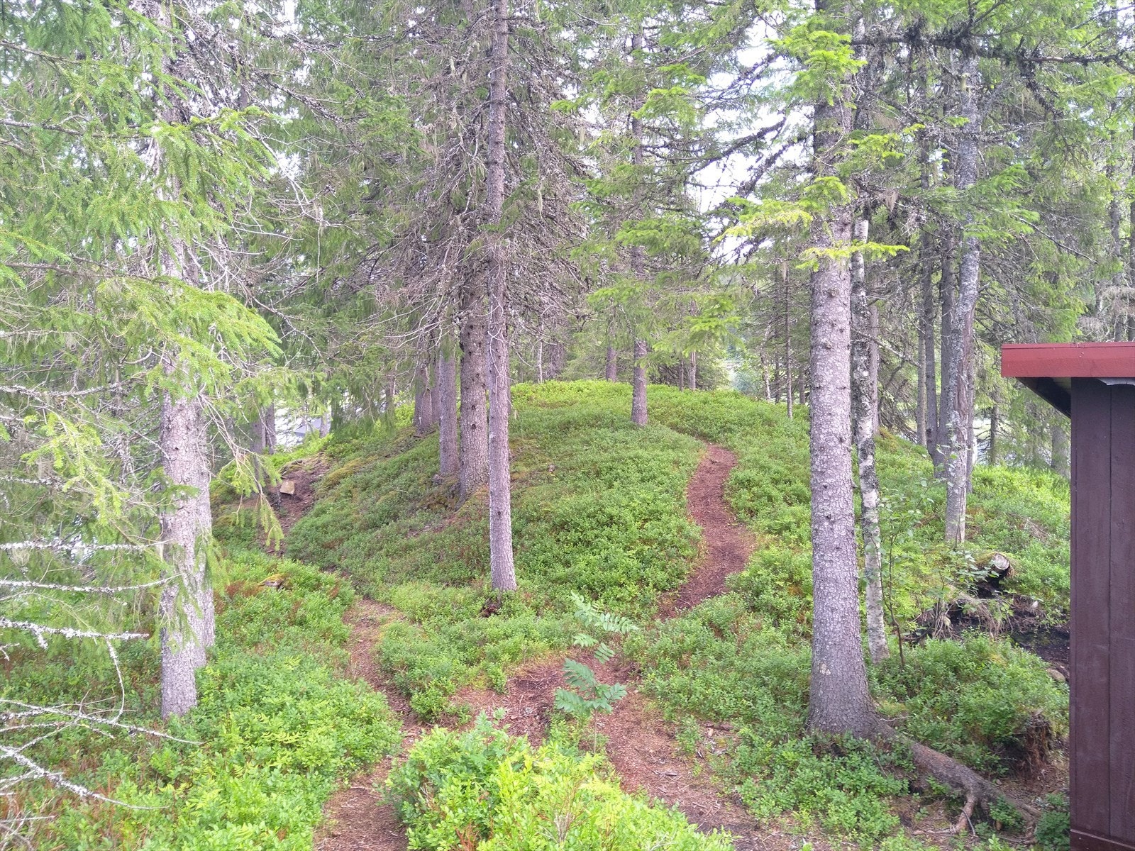 Sti ned til uthus og utebod Galleribilde