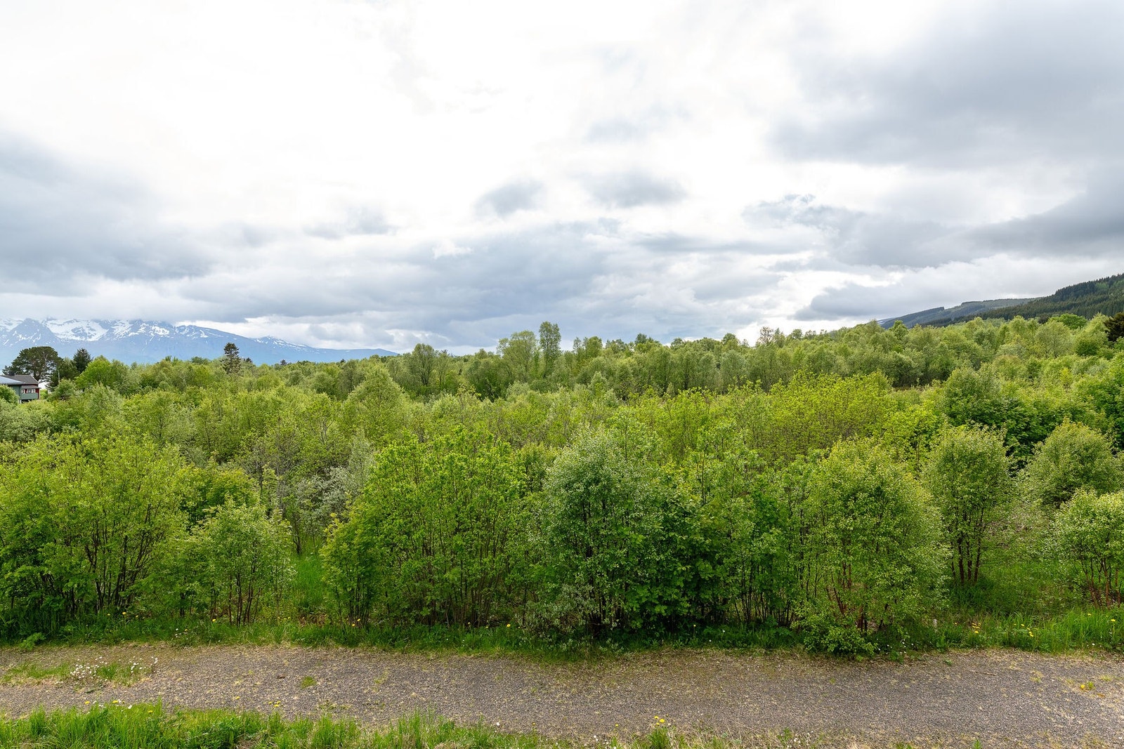 Utsikten Galleribilde