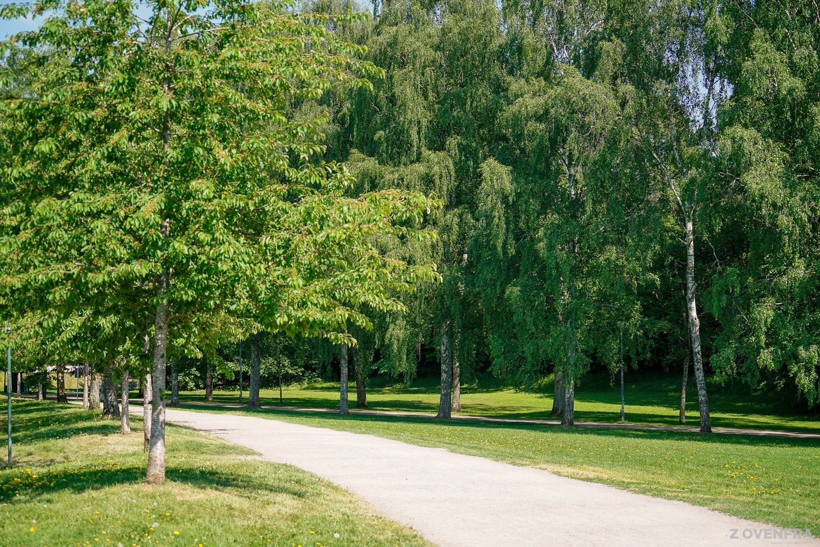 Fine turstier og store grøntarealer i Frognerparken. Galleribilde