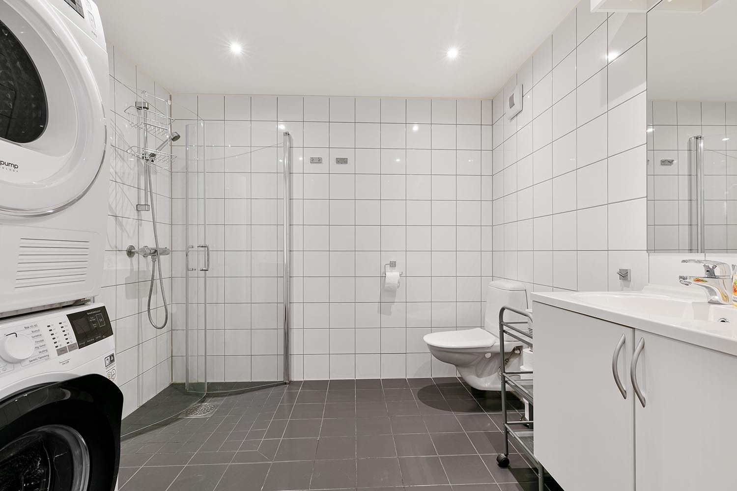 Bad med toalett, vaskemaskin og tørketrommel Galleribilde