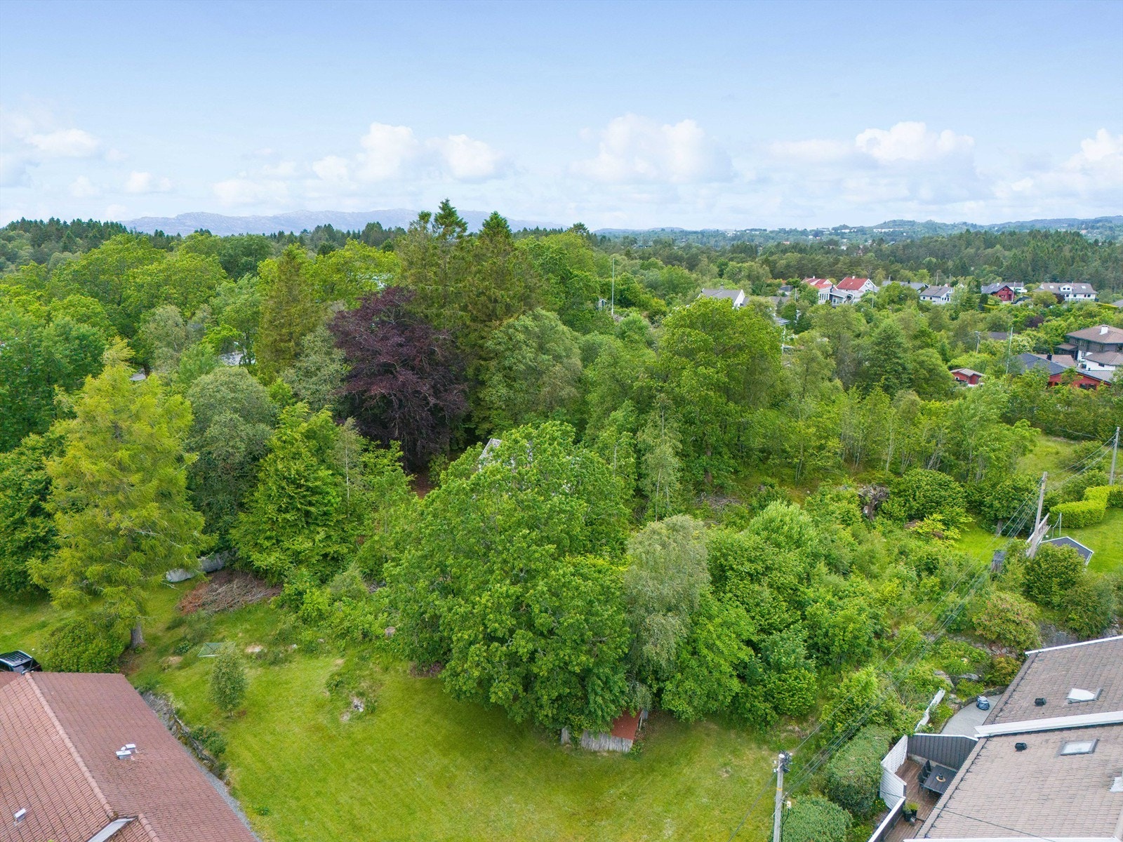 Området består i dag av eneboliger og flermansboliger. Galleribilde