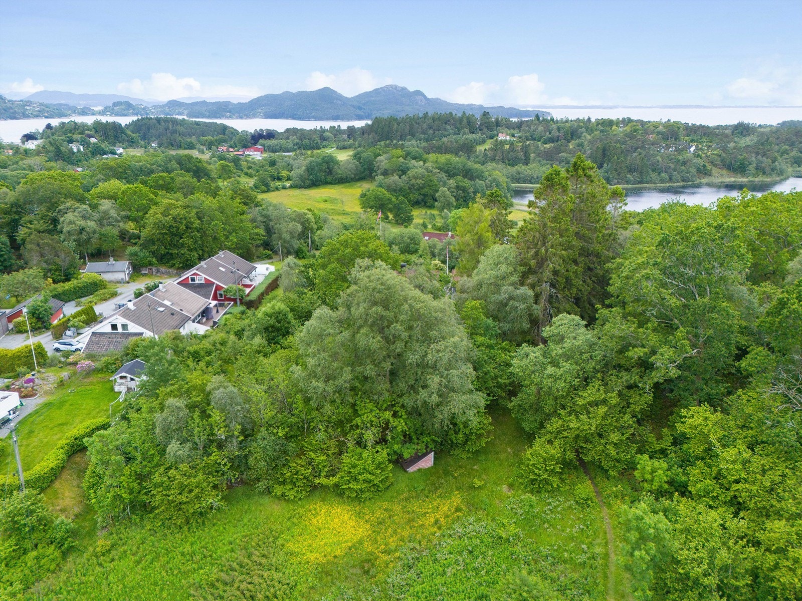 På gjengrodde stier. Galleribilde