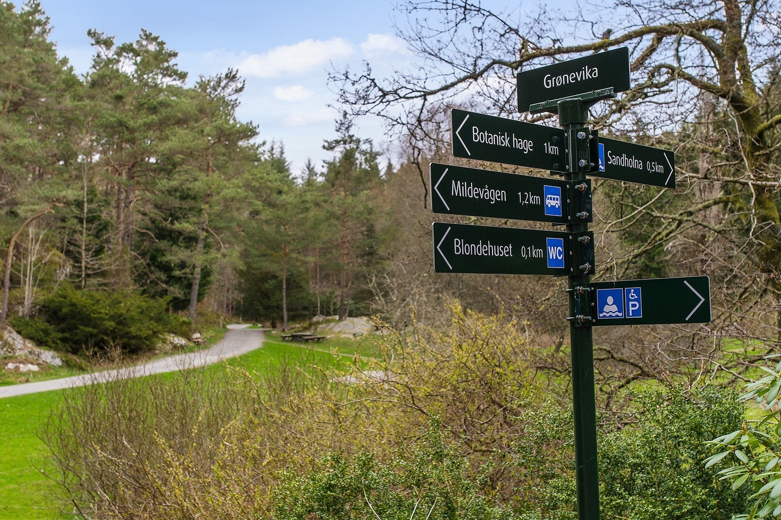 Fine turområder i umiddelbar nærhet. Galleribilde
