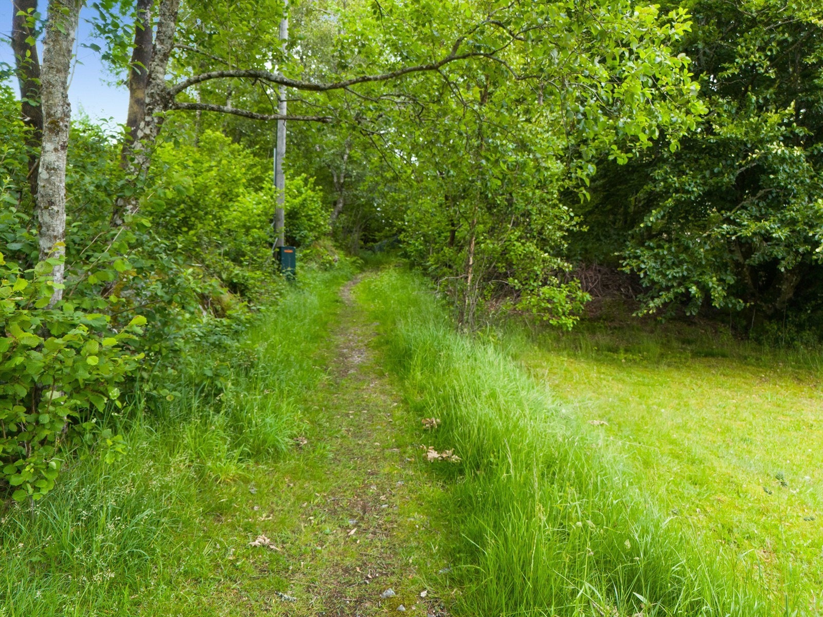 Sti opp til tomtegrense. Galleribilde