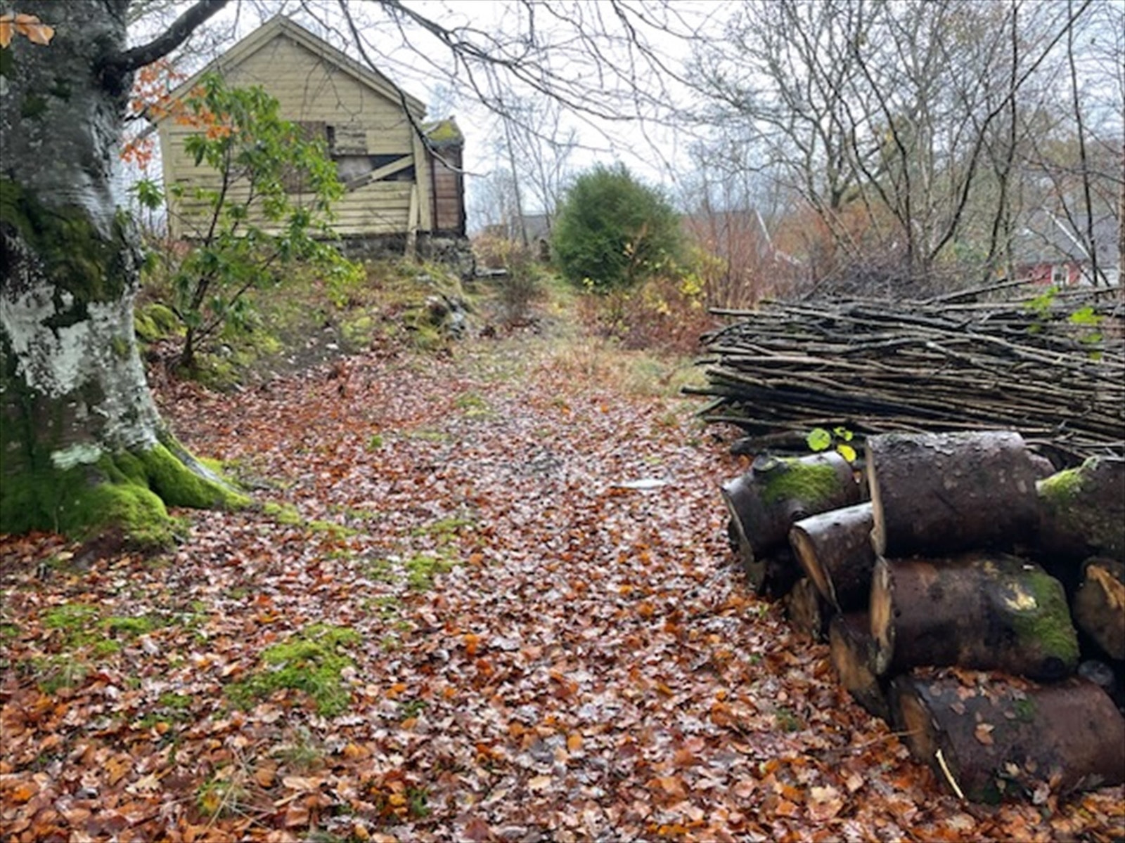 Inngang til eiendommen Galleribilde