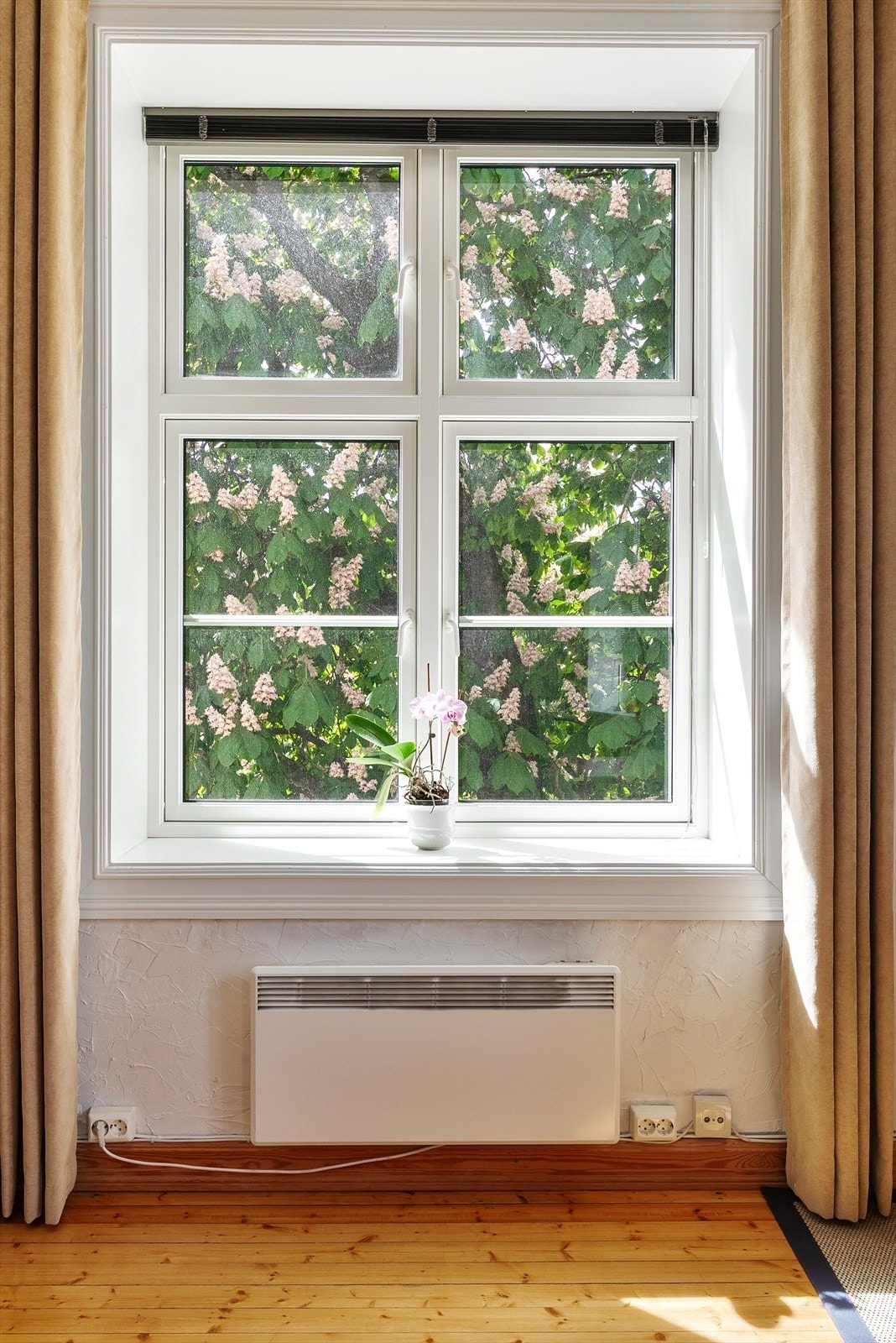 Klassiske preg, doble vinduer i hele 3. etg . Galleribilde