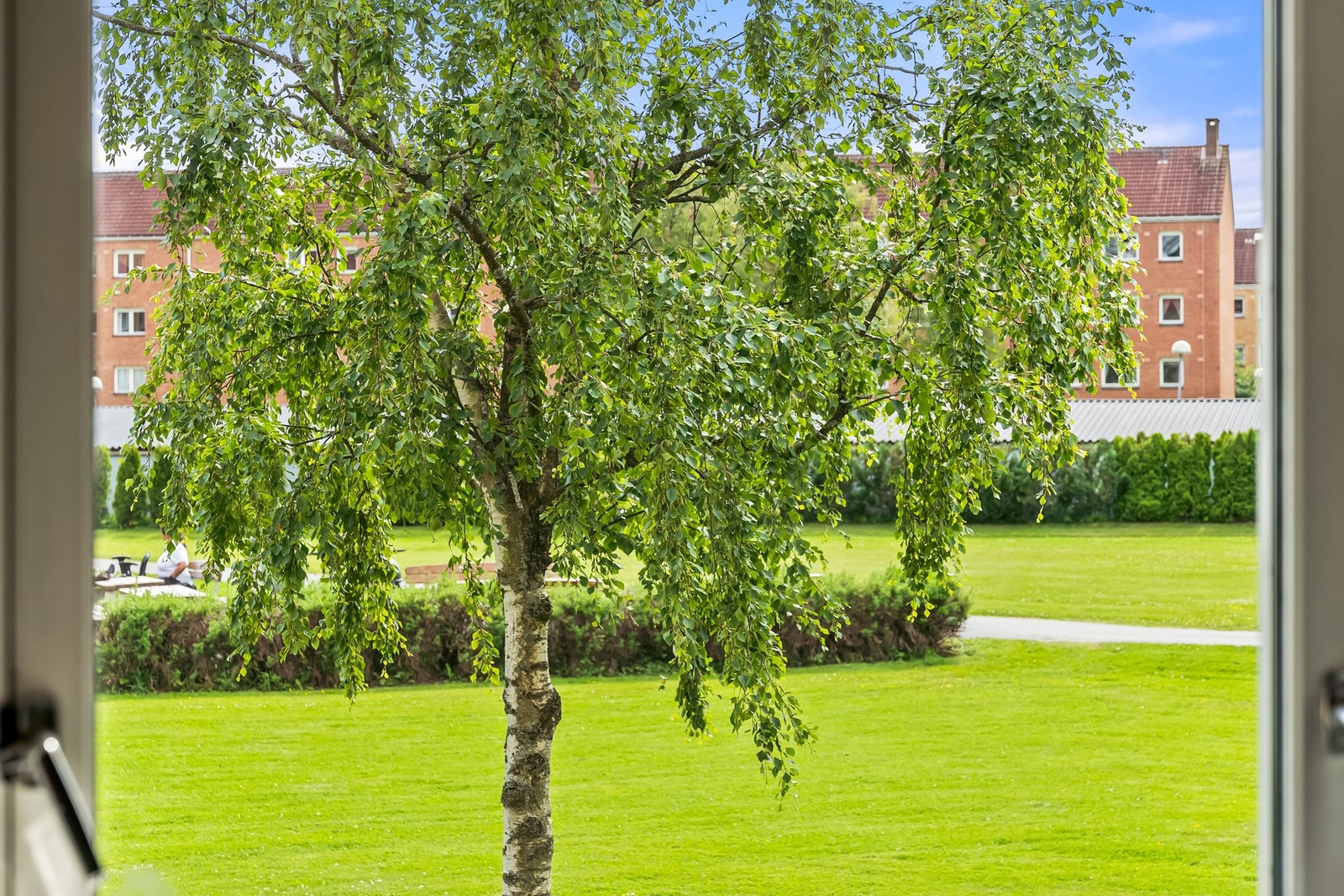 Soverom med stort vindu og utsikt over frodig område Galleribilde