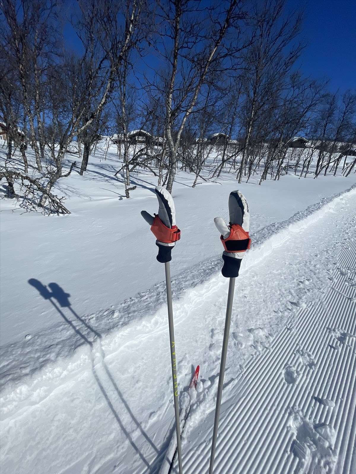 I gangavstand fra leiligheten finnes lysløype tilknyttet skistadion og Beitostølens brede løypenett for øvrig. Galleribilde