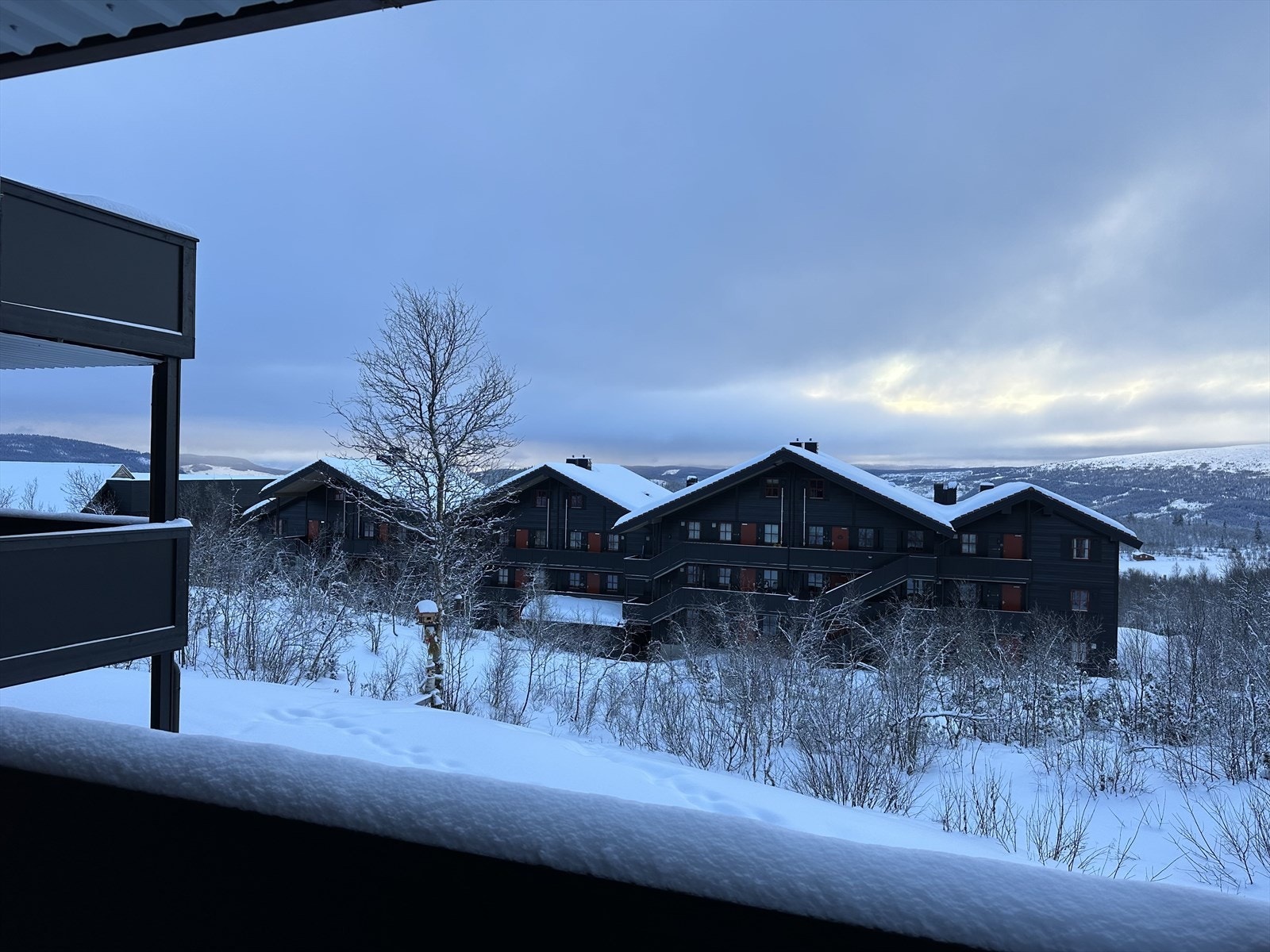 Utsikt fra terrassen. Galleribilde