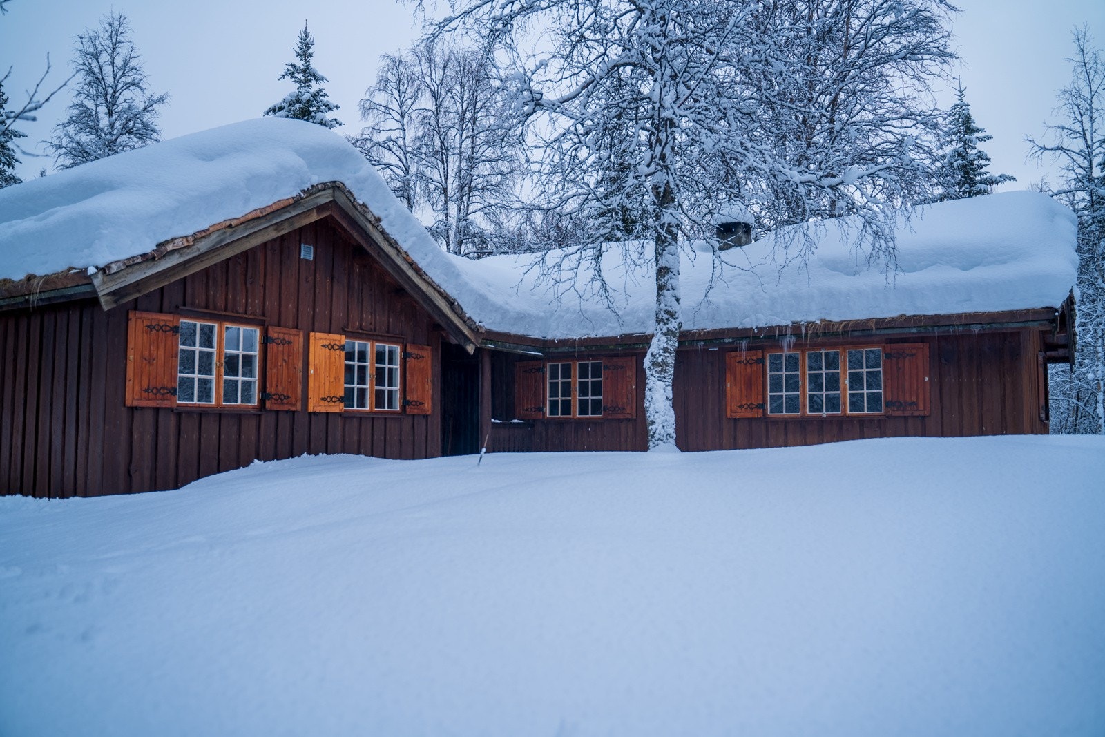 Vinterbilde Galleribilde