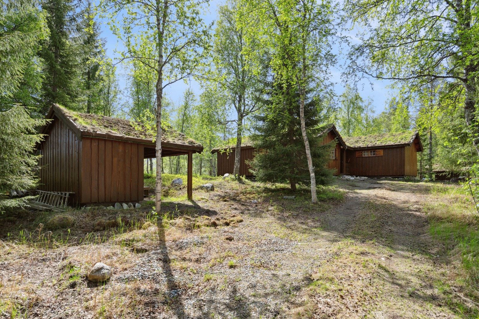 Koselig tomt tilbaketrukket fra naboer og vei Galleribilde