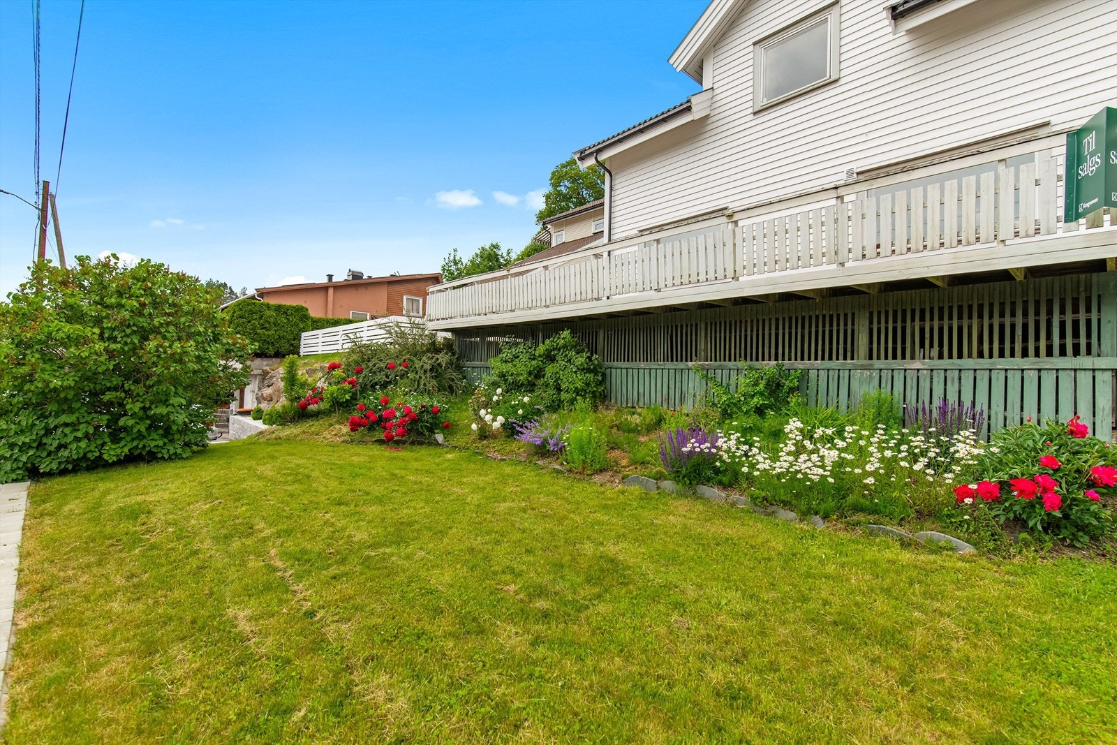 Gressplen på fremsiden av huset Galleribilde