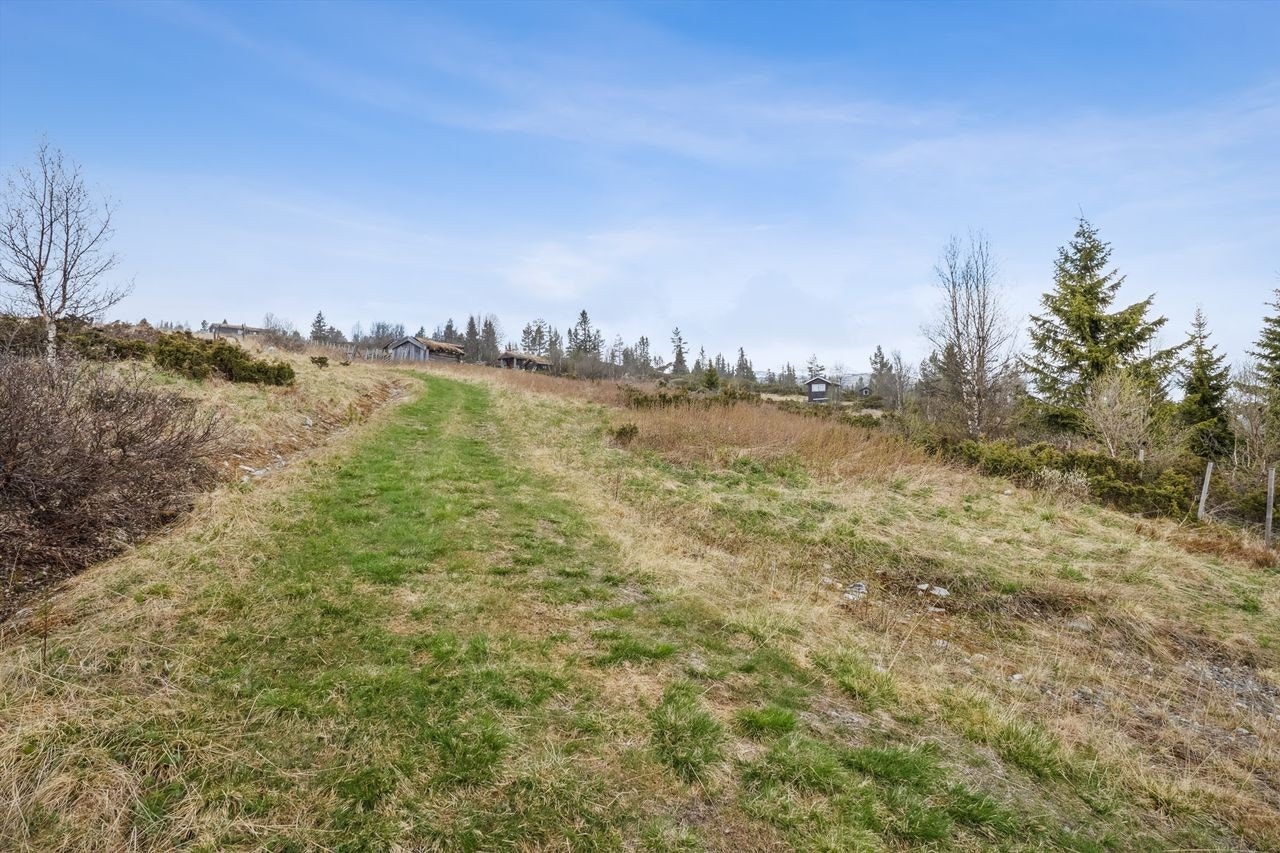 Hokstadkjølen Galleribilde