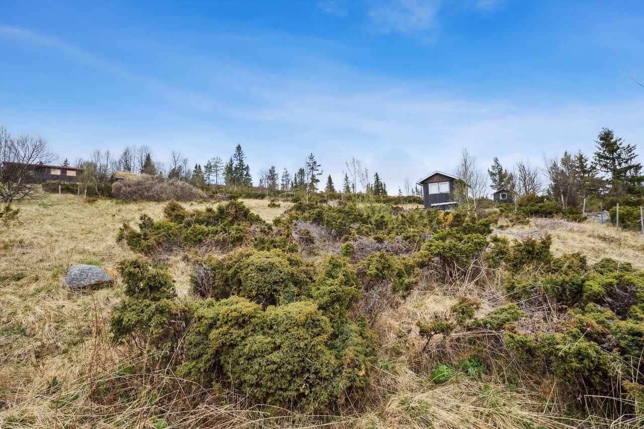 På seterteigen er det kun plassert ei enkel koie. Galleribilde