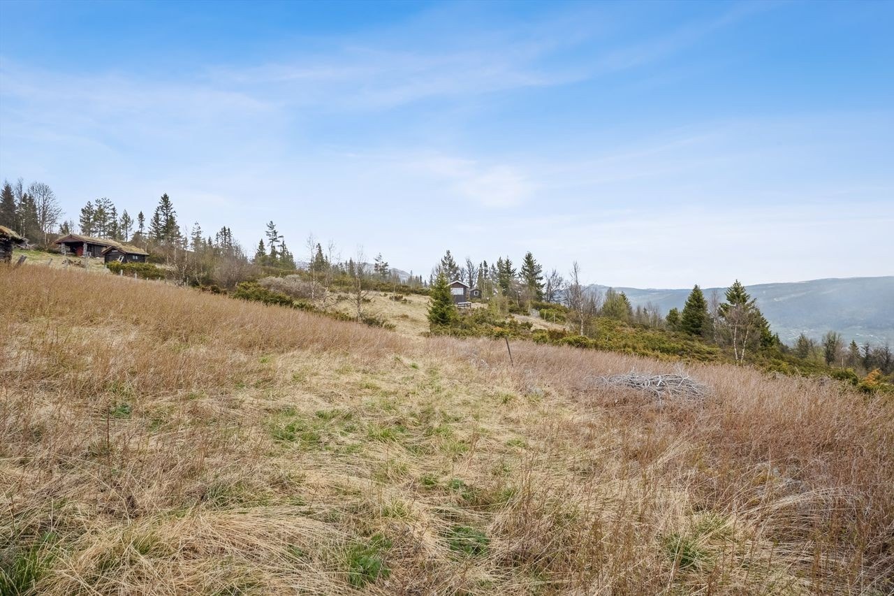 Hokstadkjølen. Det passerer skiløyper her vinterstid. Flott turområde. Galleribilde