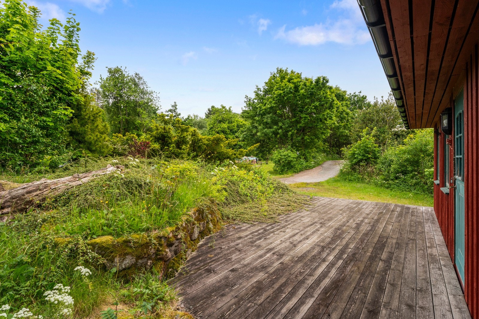 Kjørevei med veirett til hytten fra baksiden. Galleribilde