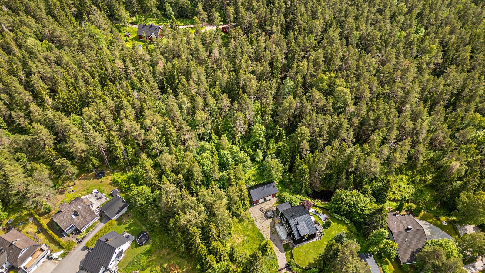 Tomten grenser mot skogkanten og har en skjermet beliggenhet Galleribilde