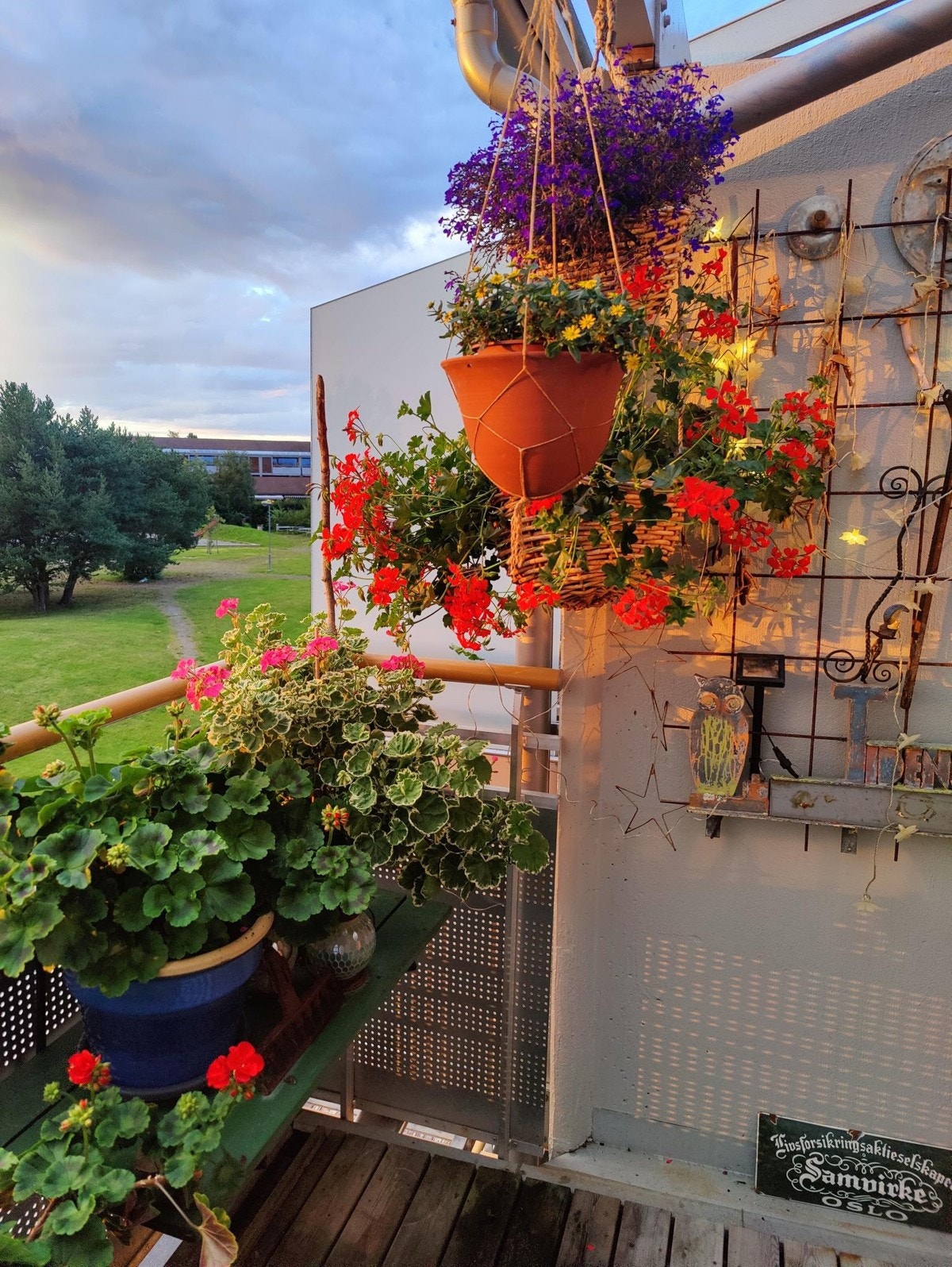 Bilde tatt av selger. Galleribilde